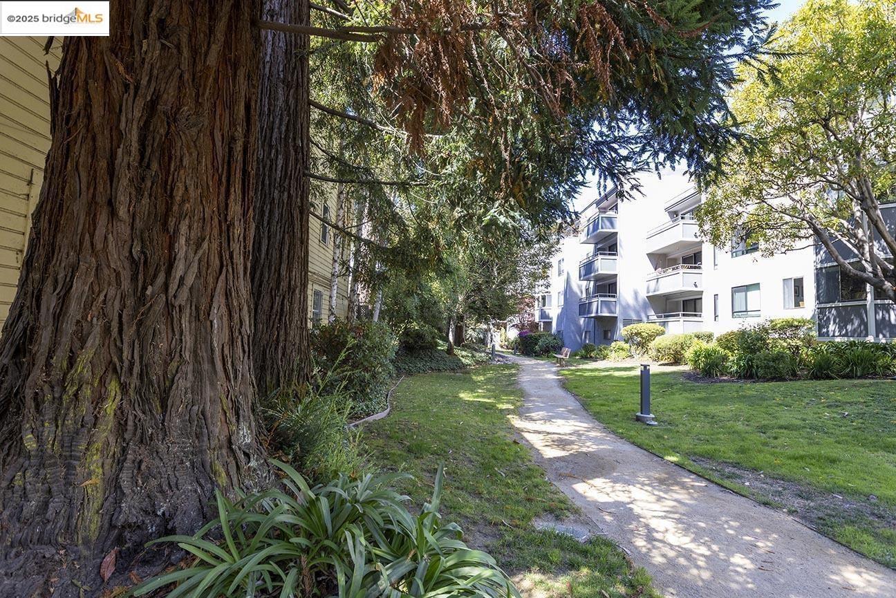 Detail Gallery Image 29 of 40 For 1839 15th St Apt 158,  San Francisco,  CA 94103 - 0 Beds | 1 Baths