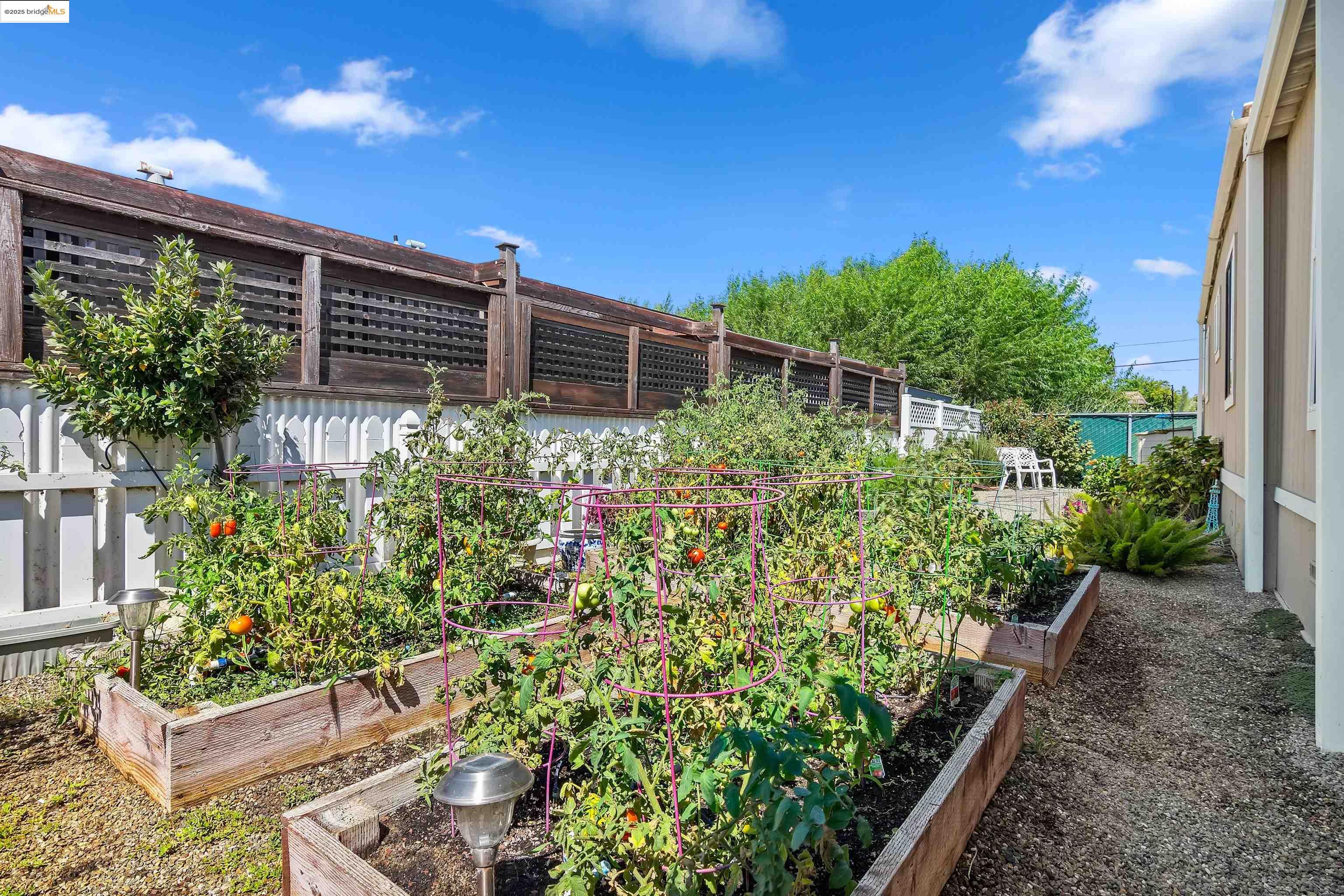 Detail Gallery Image 34 of 40 For 3605 Hawthorne Dr #114,  Bethel Island,  CA 94511 - 2 Beds | 2 Baths