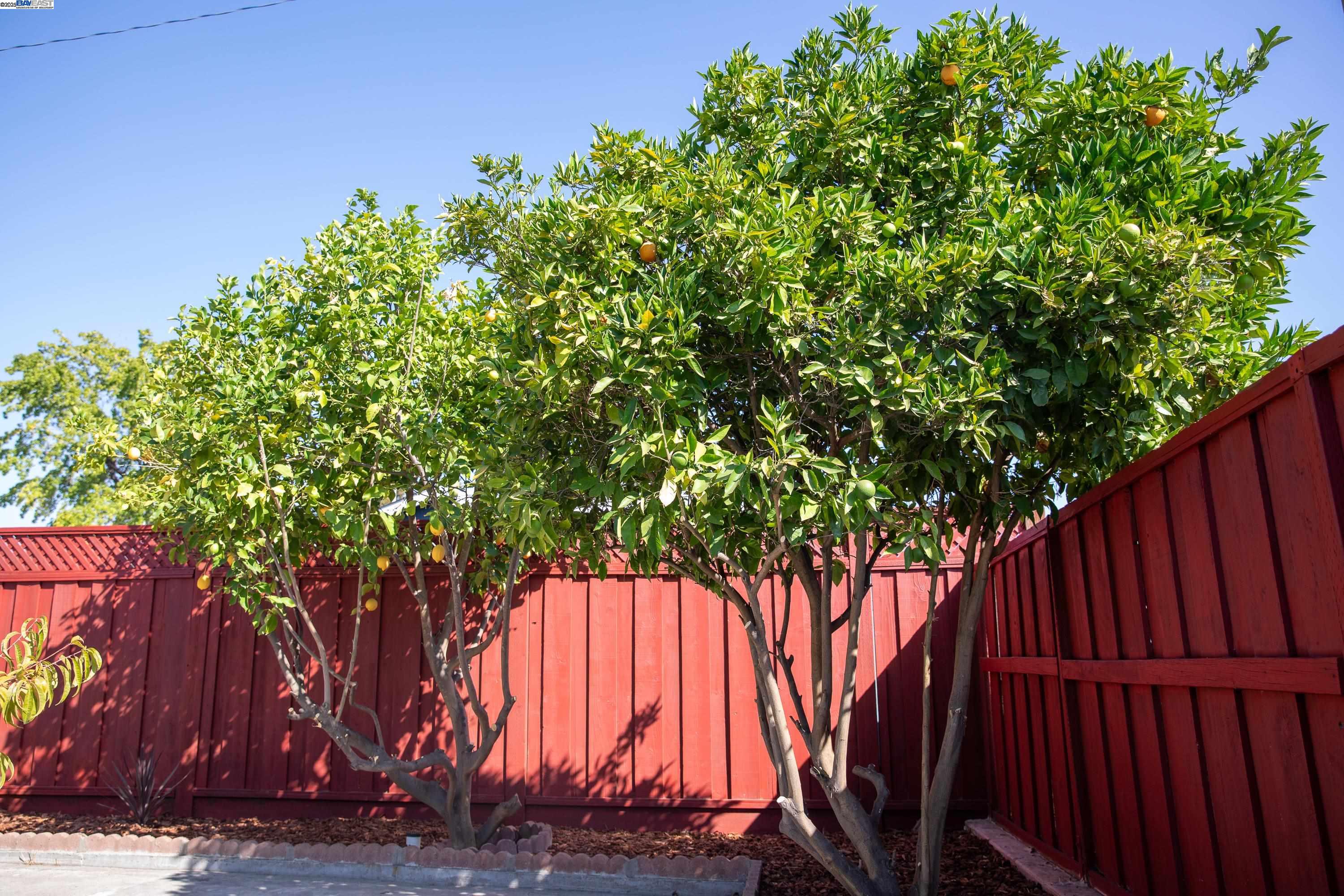 Detail Gallery Image 33 of 35 For 4001 Ross Park Dr., San Jose,  CA 95118 - 3 Beds | 2 Baths