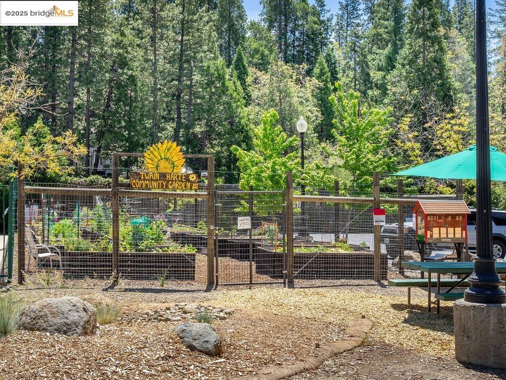 Detail Gallery Image 45 of 52 For 21705 Cedar Springs Rd, Twain Harte,  CA 95383 - 2 Beds | 2 Baths