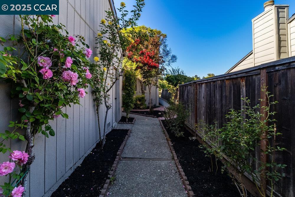 Detail Gallery Image 5 of 45 For 639 Augusta Drive, Moraga,  CA 94556 - 2 Beds | 2/1 Baths