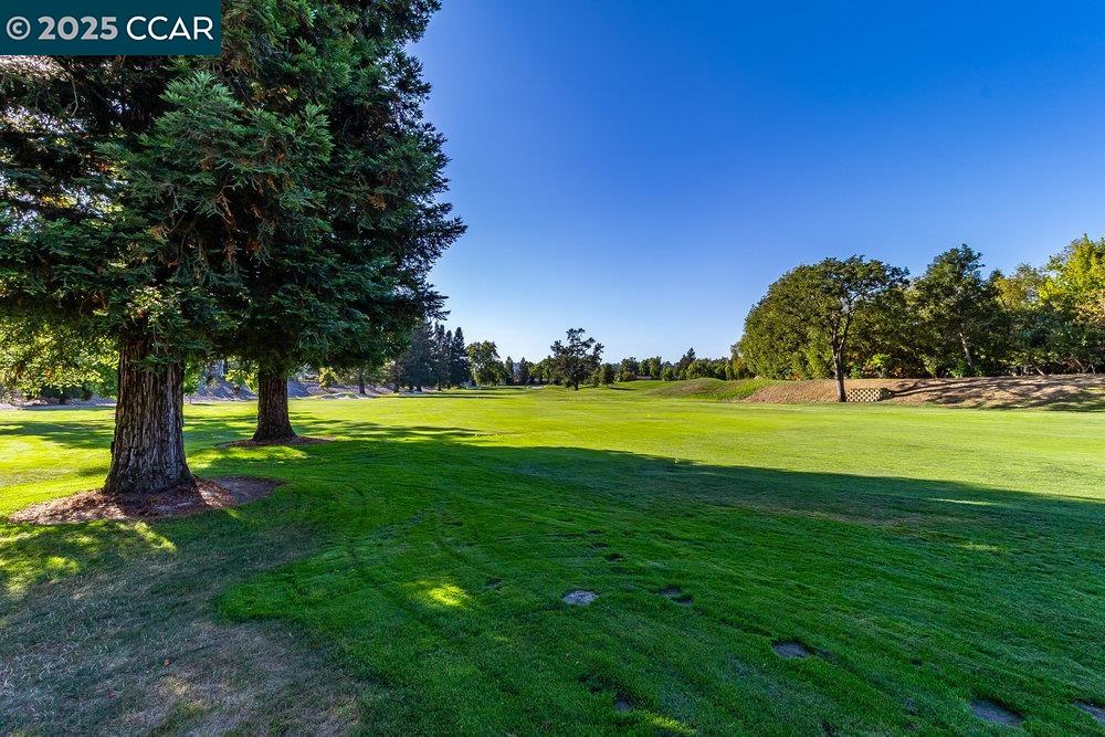Detail Gallery Image 42 of 45 For 639 Augusta Drive, Moraga,  CA 94556 - 2 Beds | 2/1 Baths