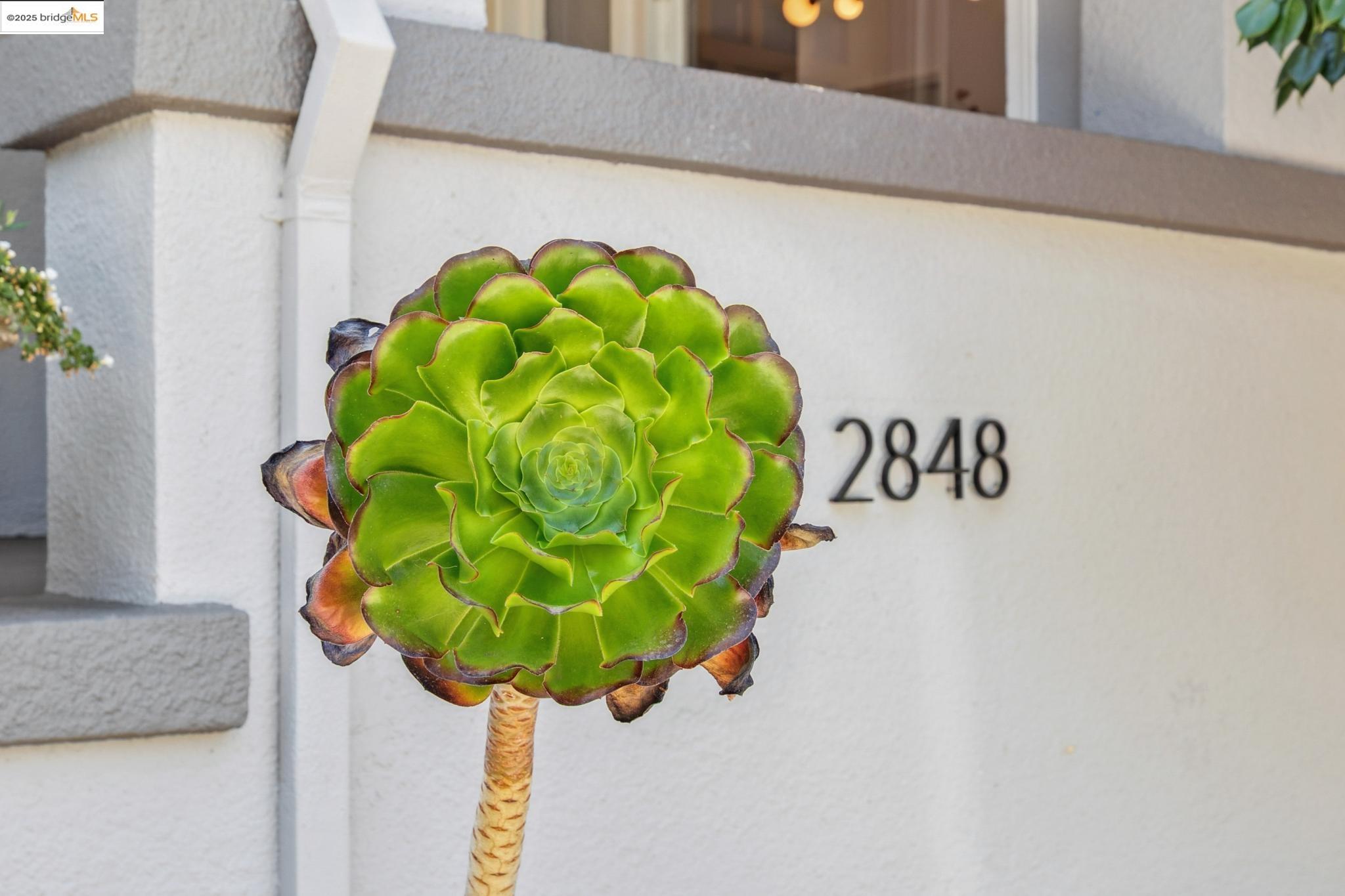 Detail Gallery Image 4 of 45 For 2848 Russell St, Berkeley,  CA 94705 - 3 Beds | 2 Baths