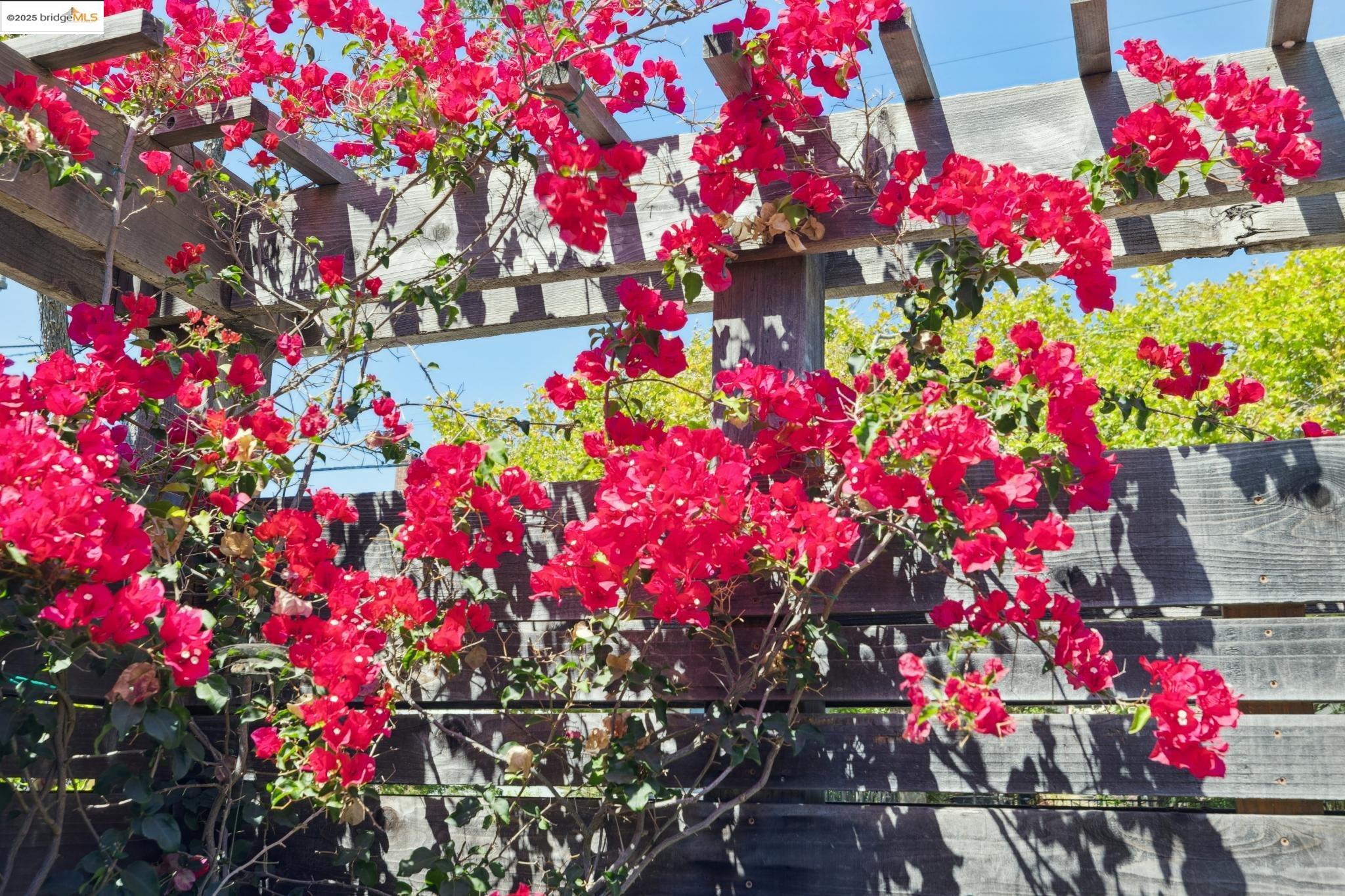 Detail Gallery Image 39 of 45 For 2848 Russell St, Berkeley,  CA 94705 - 3 Beds | 2 Baths