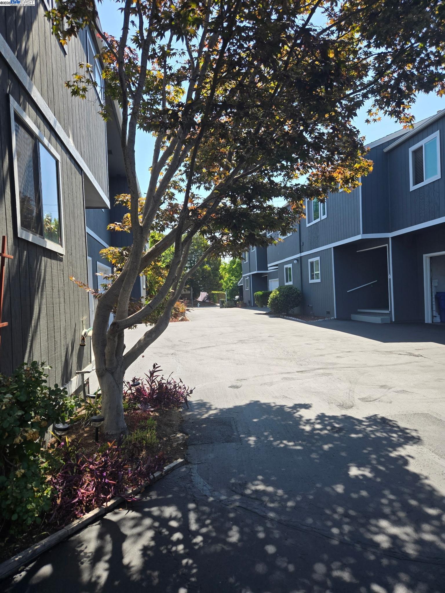 Detail Gallery Image 47 of 58 For 3687 Maple Ave #9,  Oakland,  CA 94602 - 3 Beds | 1/1 Baths