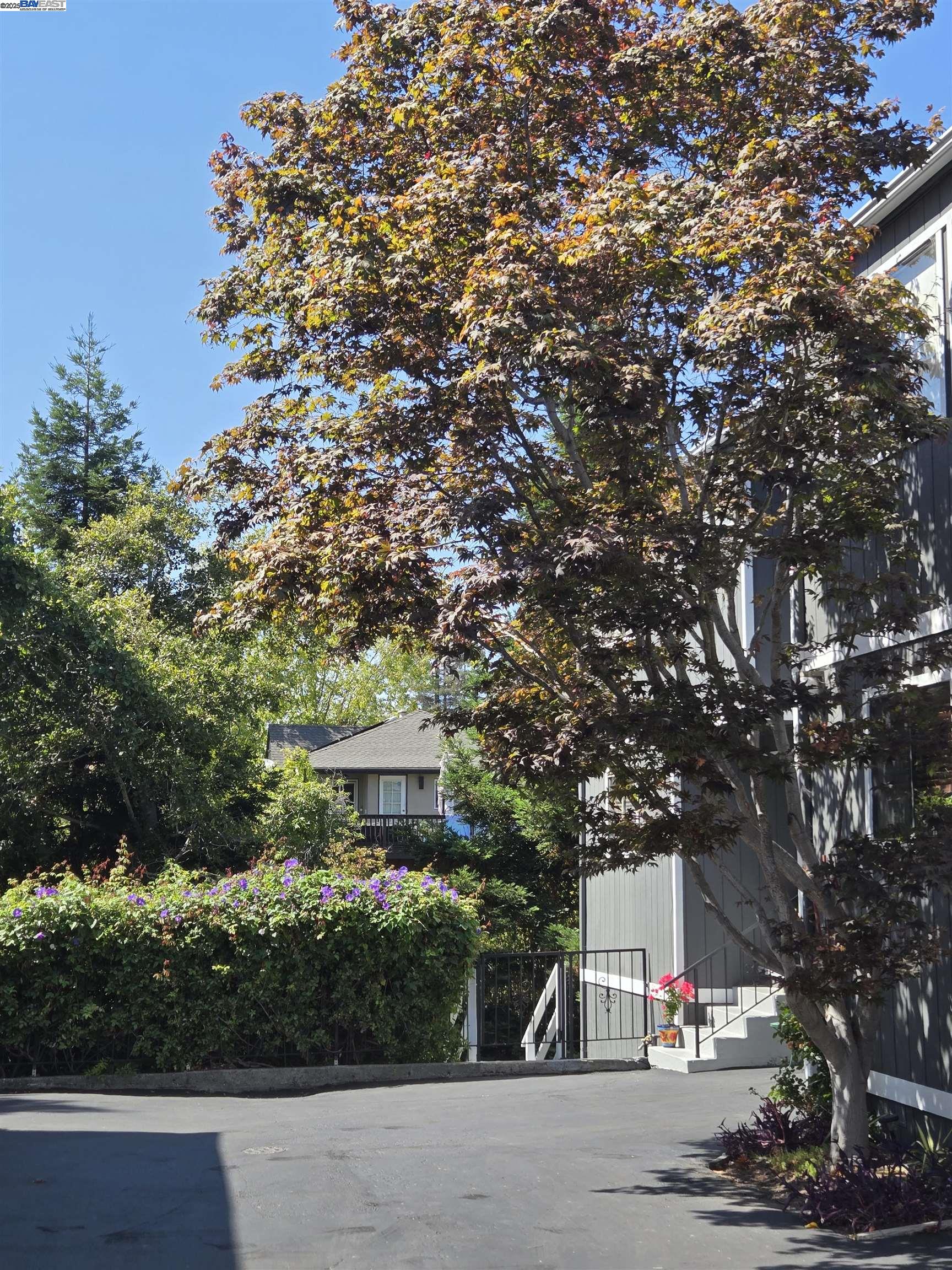 Detail Gallery Image 49 of 58 For 3687 Maple Ave #9,  Oakland,  CA 94602 - 3 Beds | 1/1 Baths
