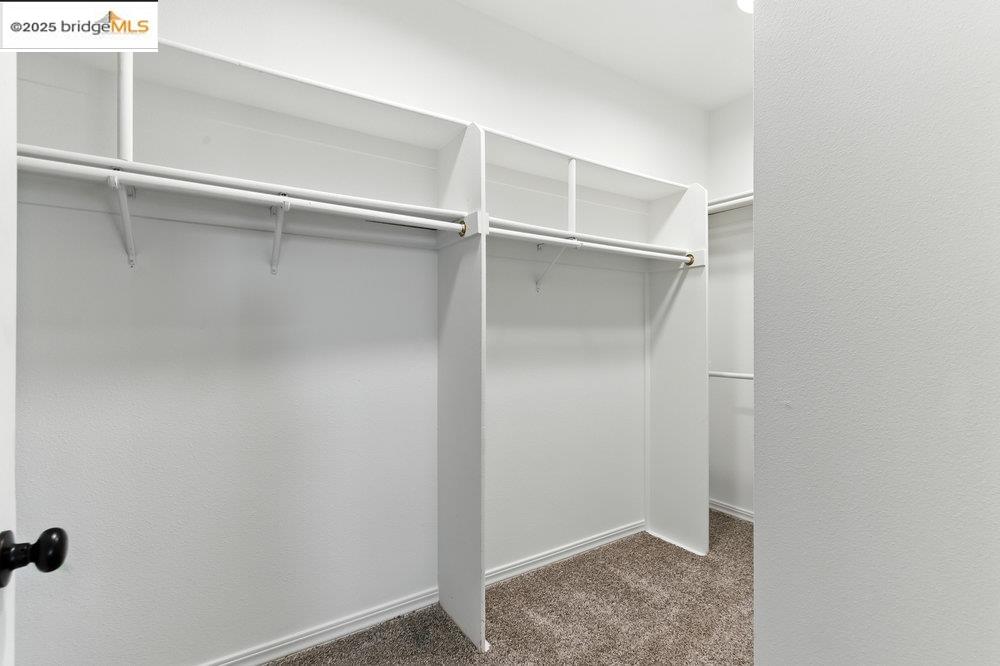 Detail Gallery Image 36 of 60 For 205 Dandelion Ln, San Ramon,  CA 94582 - 4 Beds | 3 Baths
