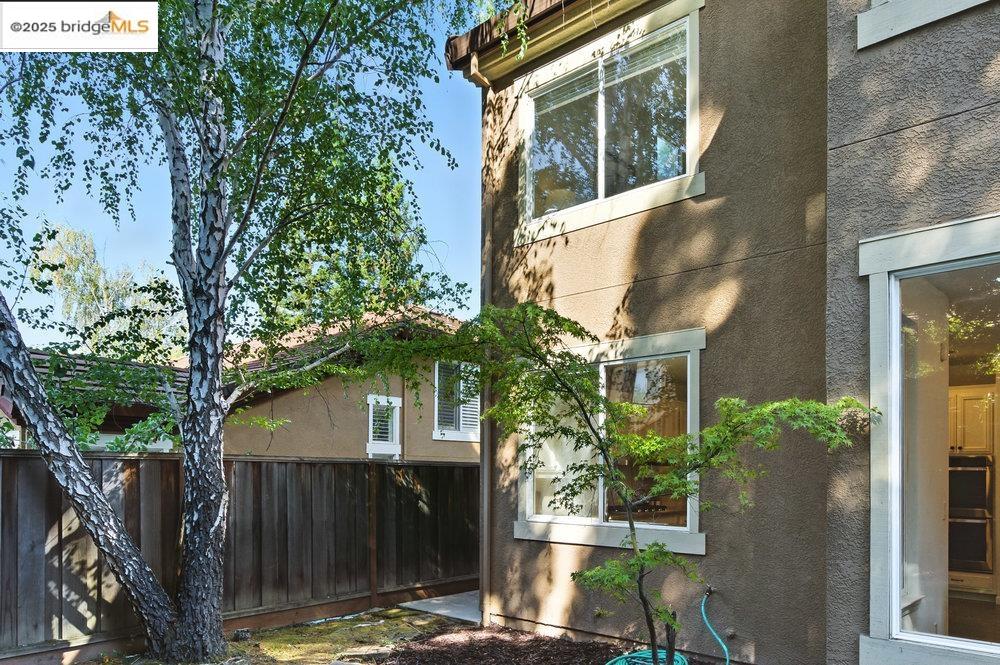 Detail Gallery Image 53 of 60 For 205 Dandelion Ln, San Ramon,  CA 94582 - 4 Beds | 3 Baths