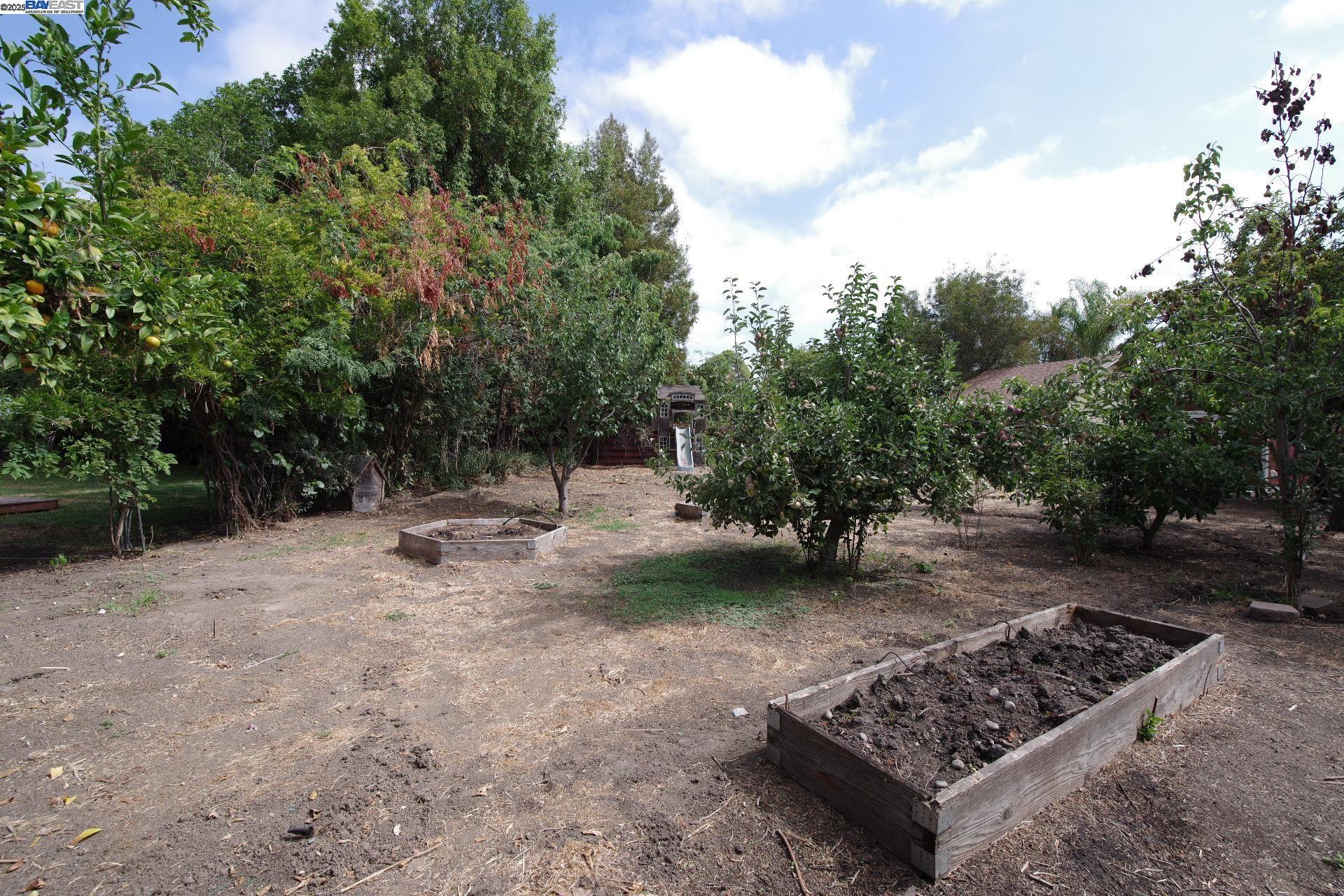 Detail Gallery Image 49 of 50 For 5268 Keeler Ct, Fremont,  CA 94536 - 3 Beds | 2/1 Baths