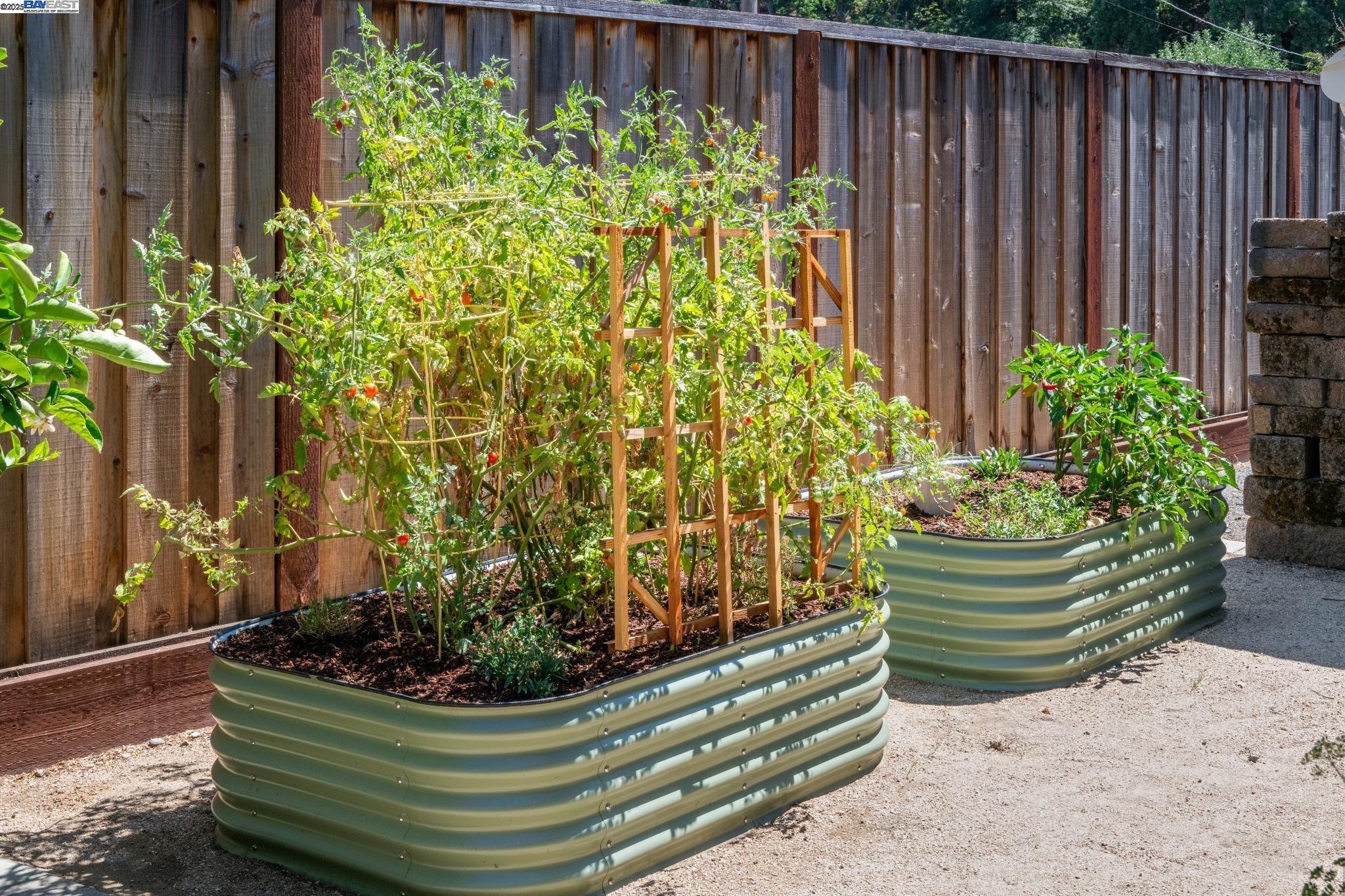 Detail Gallery Image 28 of 51 For 3434 Little Lane, Lafayette,  CA 94549 - 3 Beds | 2 Baths
