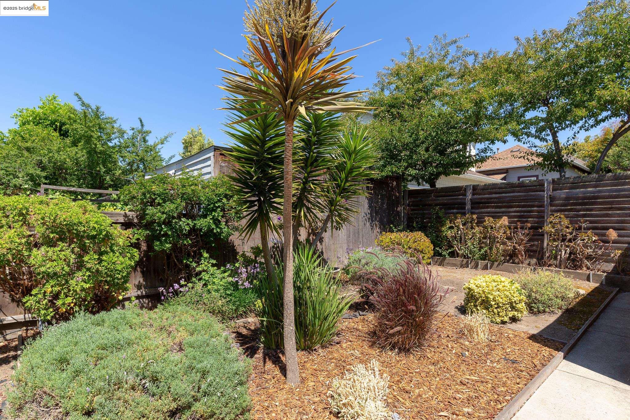 Detail Gallery Image 6 of 13 For 4210 Gilbert St, Oakland,  CA 94611 - – Beds | – Baths