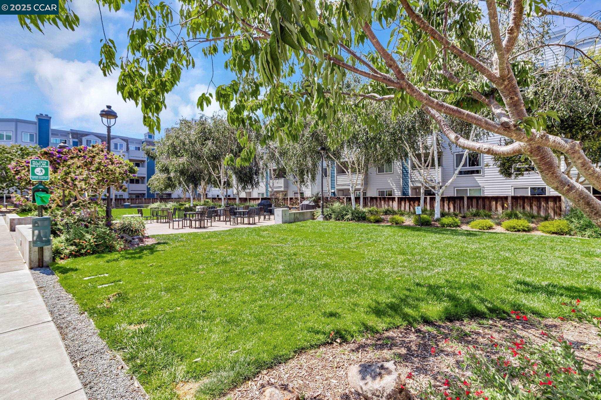 Photo #25: 41109734 Listing: Photo #25