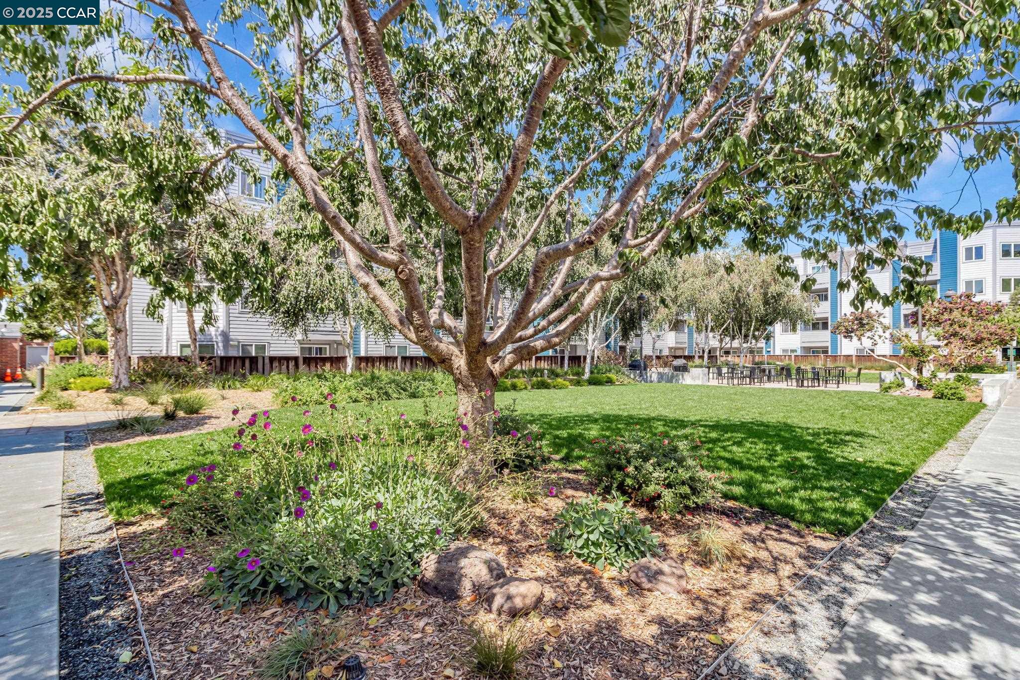 Photo #31: 41109734 Listing: Photo #31