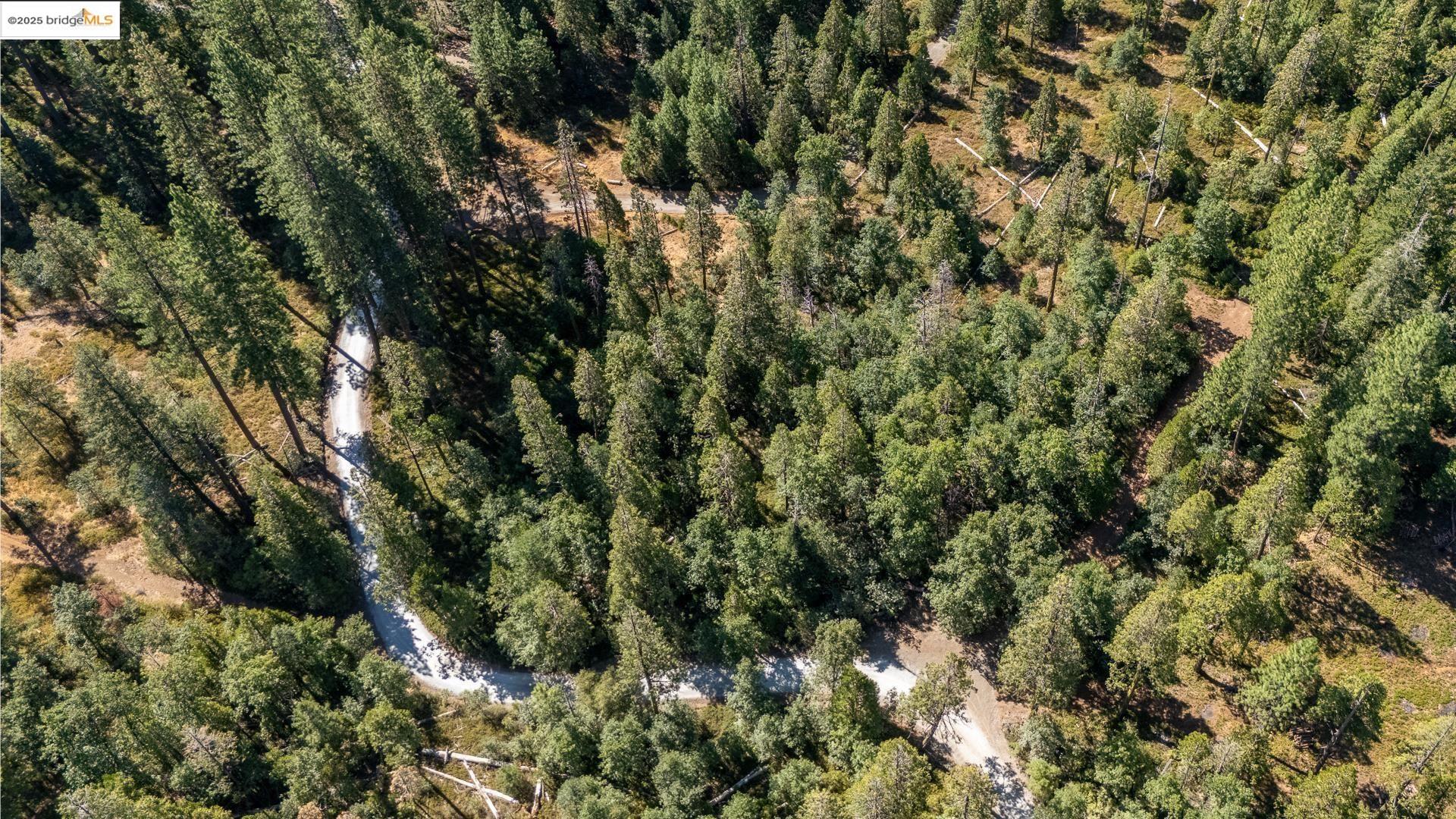 Detail Gallery Image 4 of 8 For 24840 Bottini Apple Ranch Rd, –,  CA 95346 - – Beds | – Baths