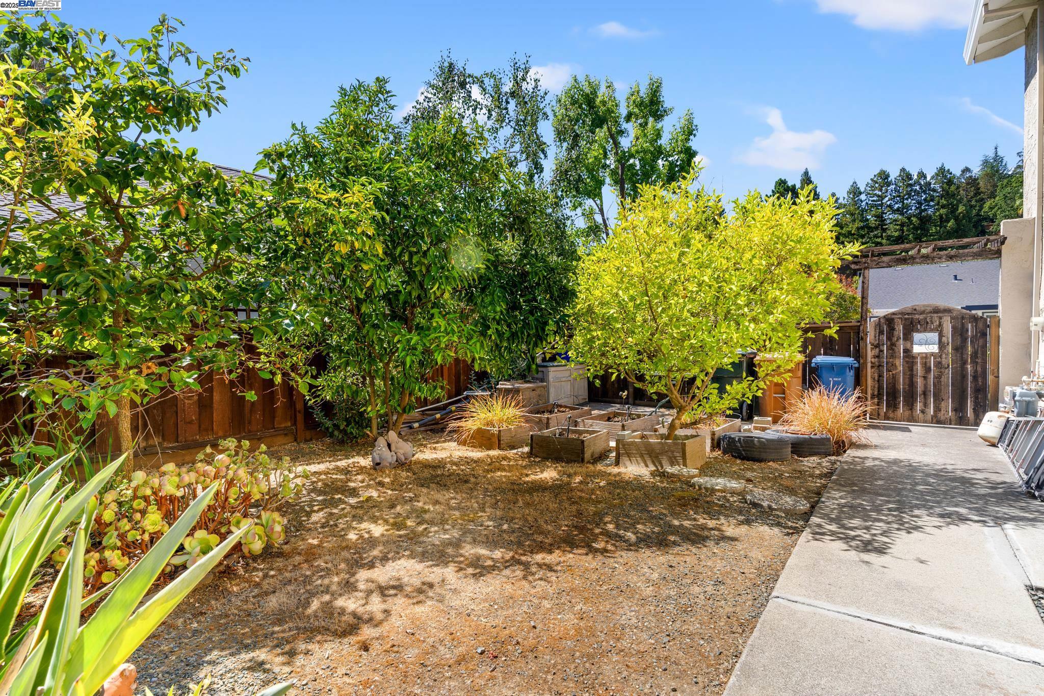 Detail Gallery Image 50 of 52 For 1890 Morello Ave, Pleasant Hill,  CA 94523 - 4 Beds | 2/1 Baths