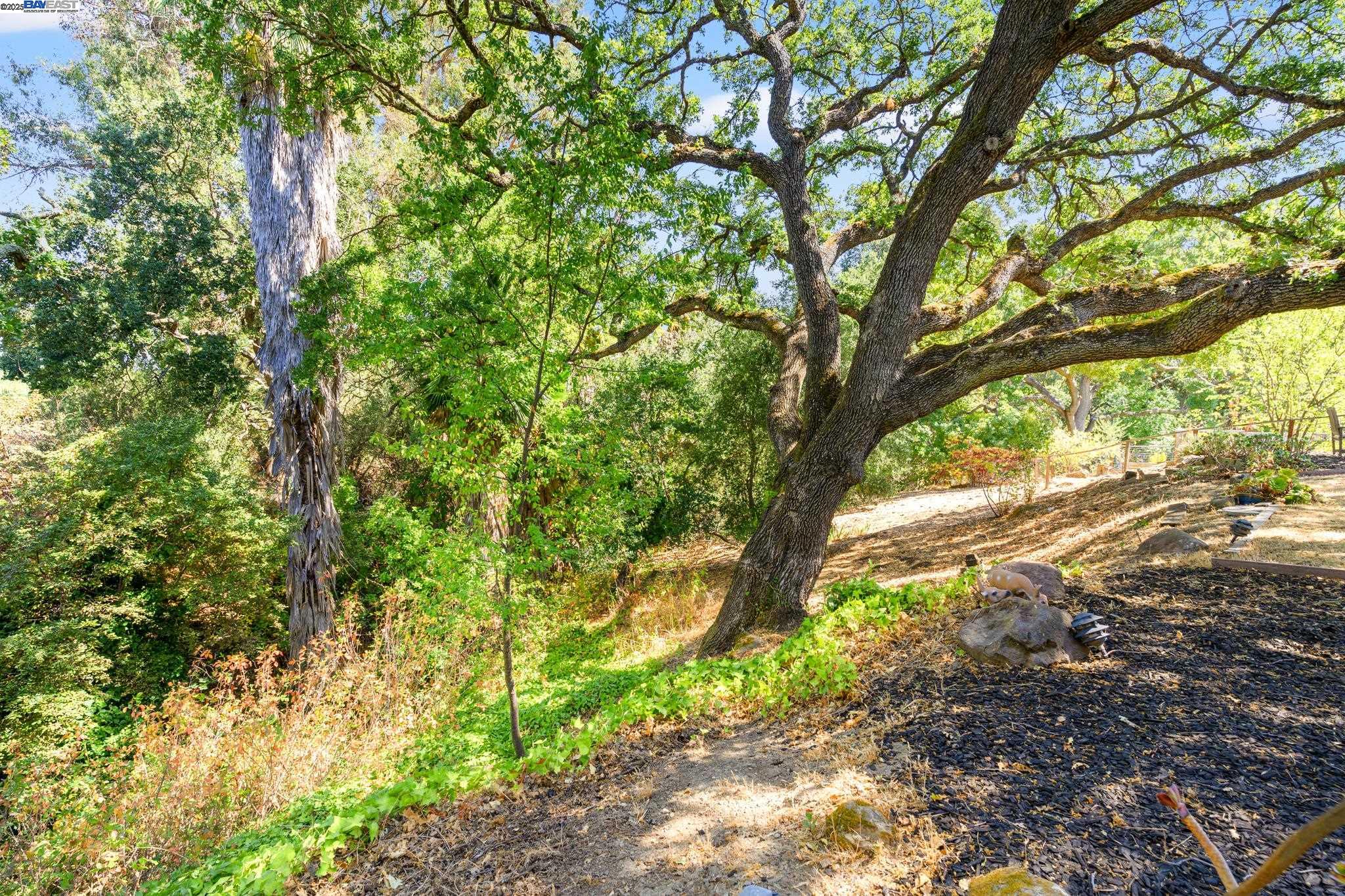Detail Gallery Image 51 of 52 For 1890 Morello Ave, Pleasant Hill,  CA 94523 - 4 Beds | 2/1 Baths