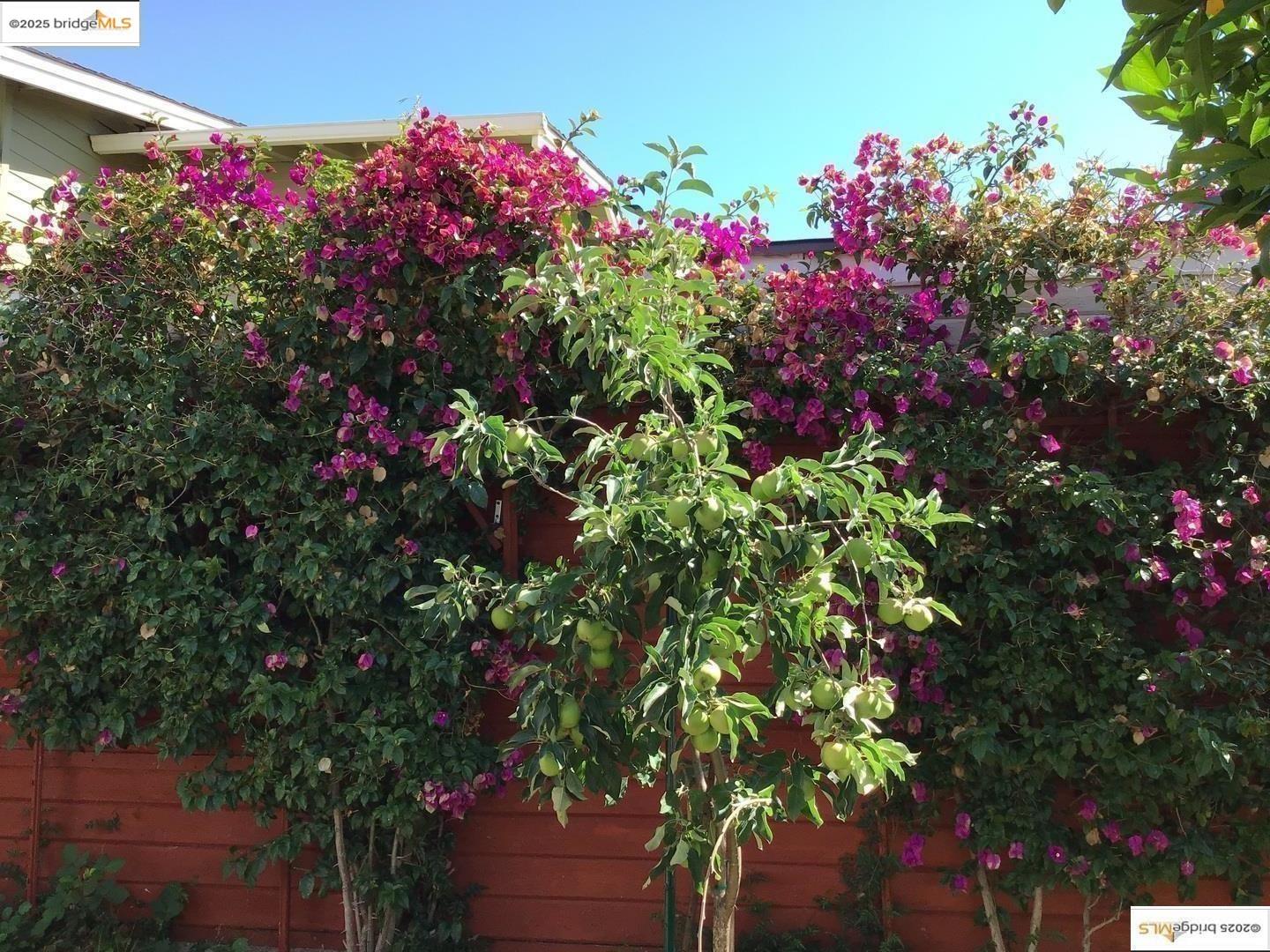 Detail Gallery Image 25 of 31 For 3712 Patterson Avenue, Oakland,  CA 94619 - 2 Beds | 1 Baths