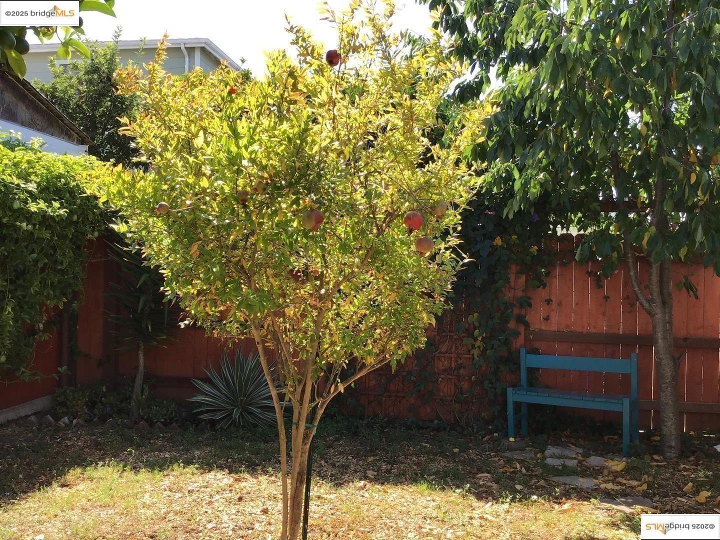 Detail Gallery Image 26 of 31 For 3712 Patterson Avenue, Oakland,  CA 94619 - 2 Beds | 1 Baths