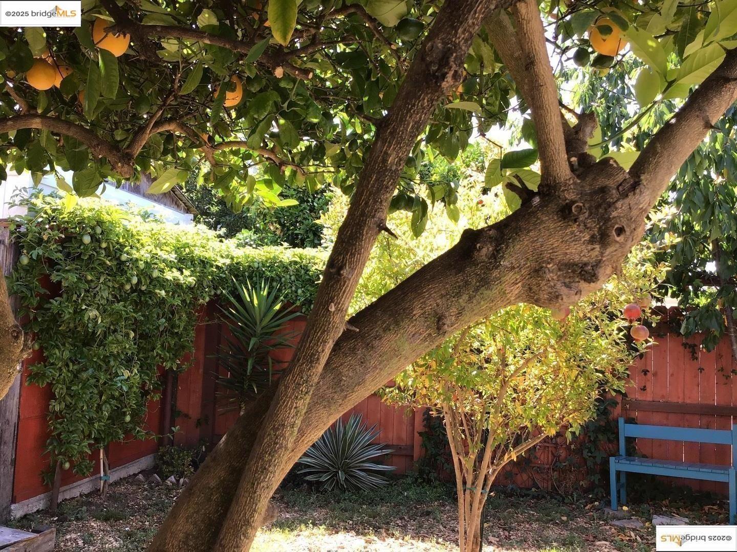 Detail Gallery Image 27 of 31 For 3712 Patterson Avenue, Oakland,  CA 94619 - 2 Beds | 1 Baths