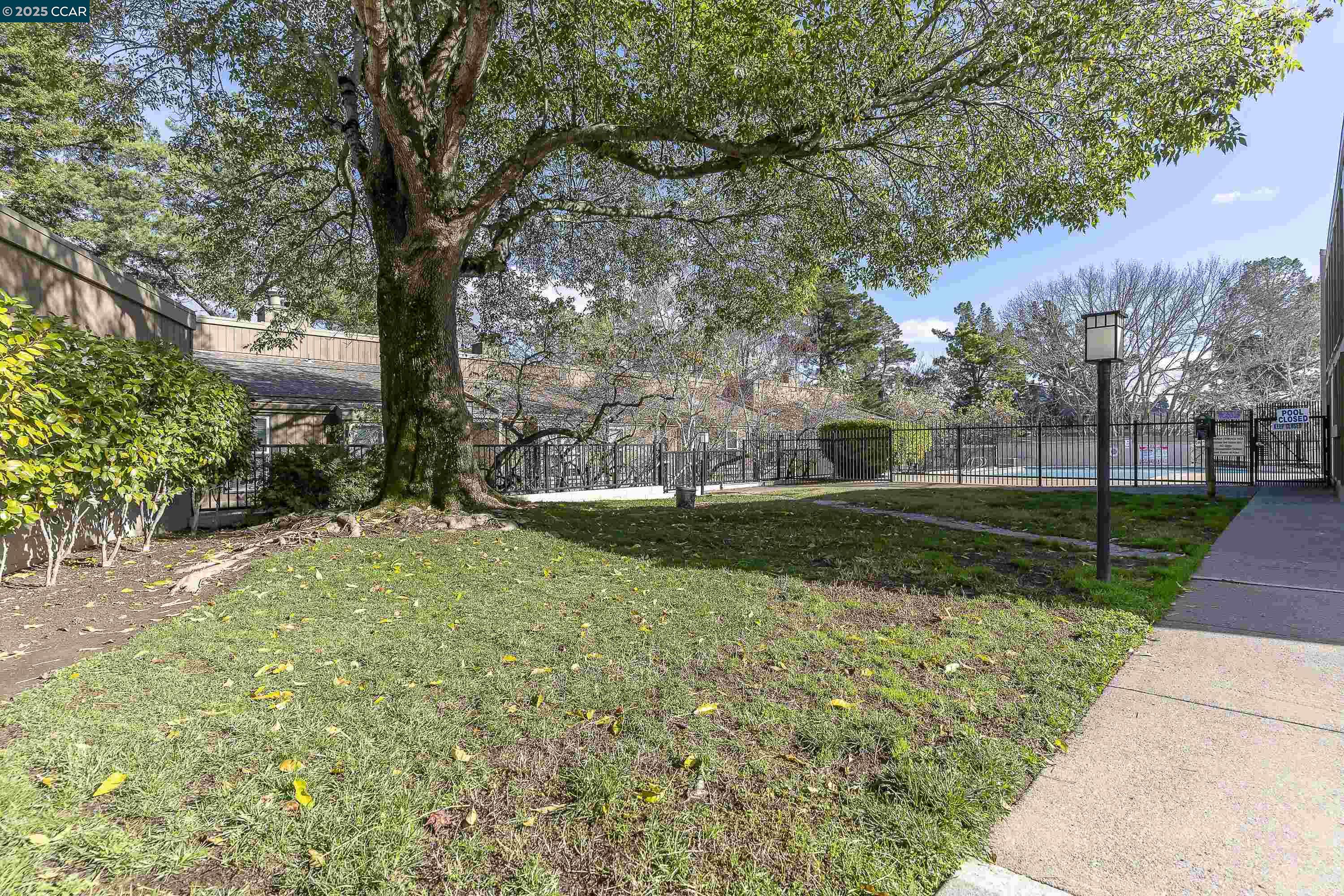 Detail Gallery Image 45 of 50 For 2079 Ascot Dr #240,  Moraga,  CA 94556 - 2 Beds | 2 Baths