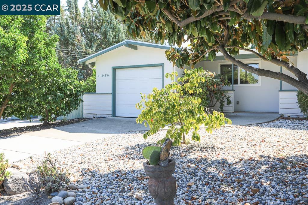 Detail Gallery Image 3 of 56 For 2465 Buena Vista Ave, Walnut Creek,  CA 94597 - – Beds | – Baths