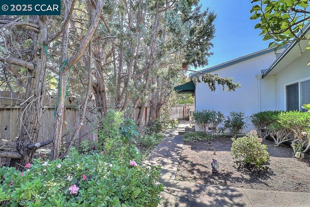 Detail Gallery Image 49 of 56 For 2465 Buena Vista Ave, Walnut Creek,  CA 94597 - – Beds | – Baths
