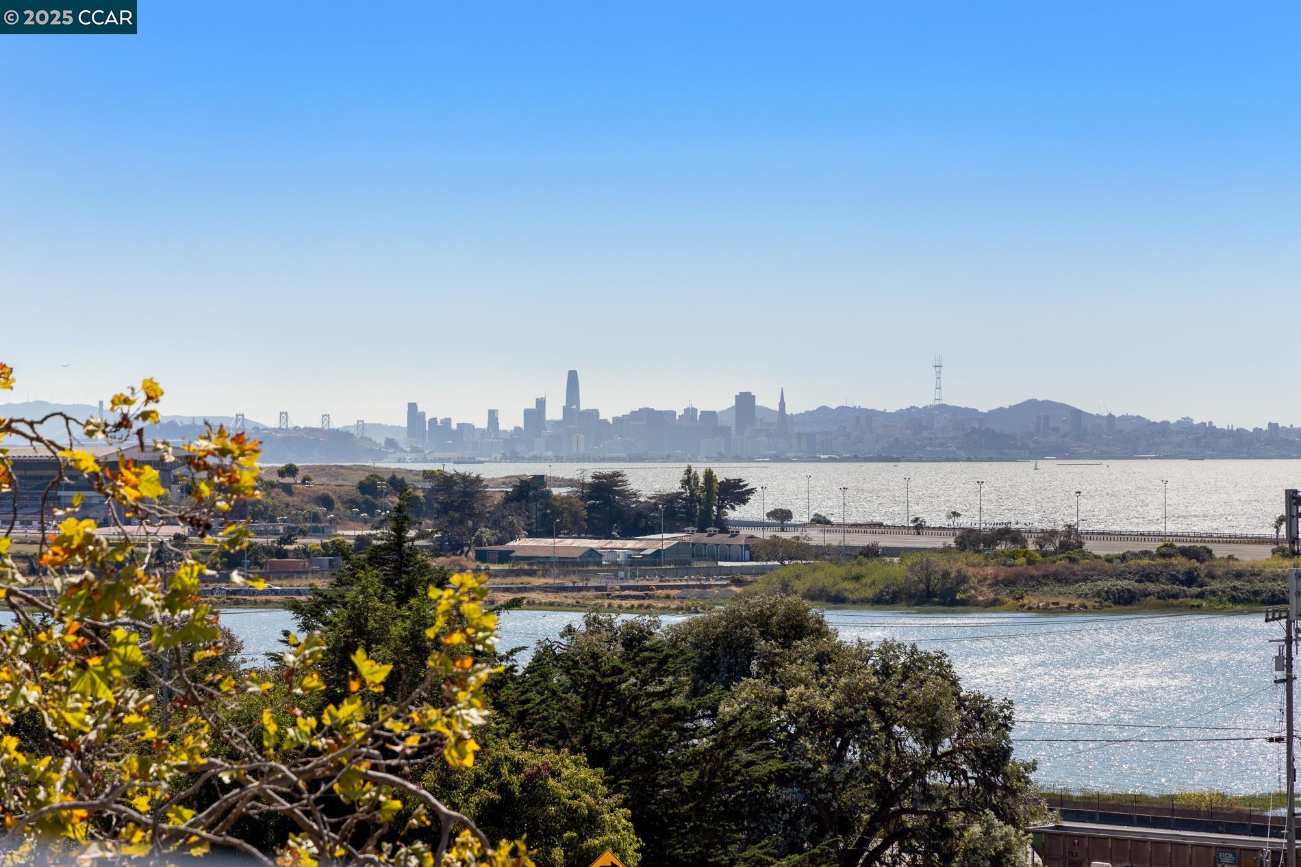 Detail Gallery Image 27 of 33 For 555 Pierce St #209,  Albany,  CA 94706 - 1 Beds | 2 Baths