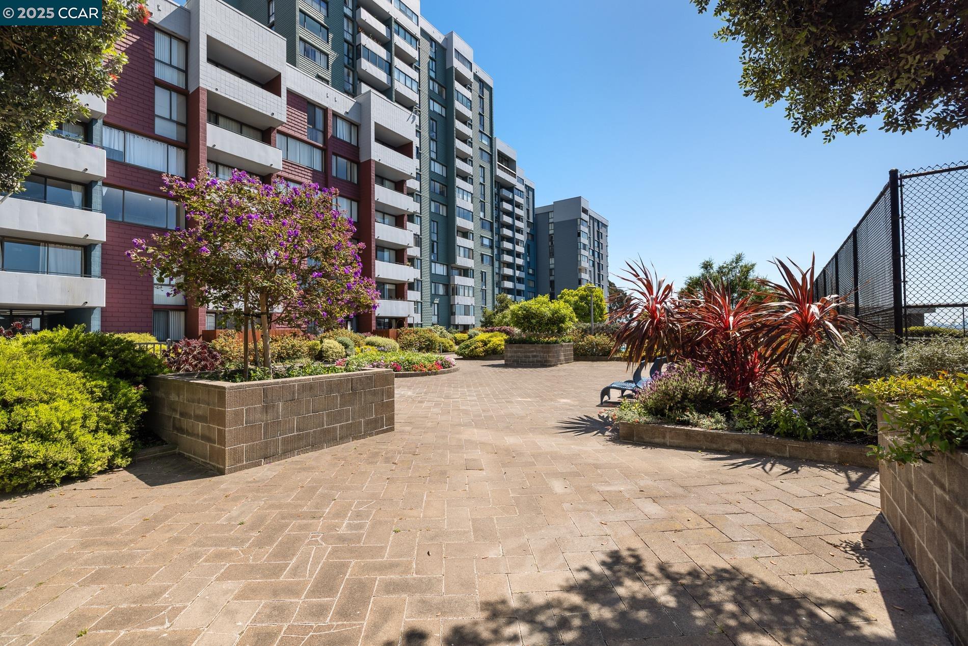 Detail Gallery Image 32 of 33 For 555 Pierce St #209,  Albany,  CA 94706 - 1 Beds | 2 Baths