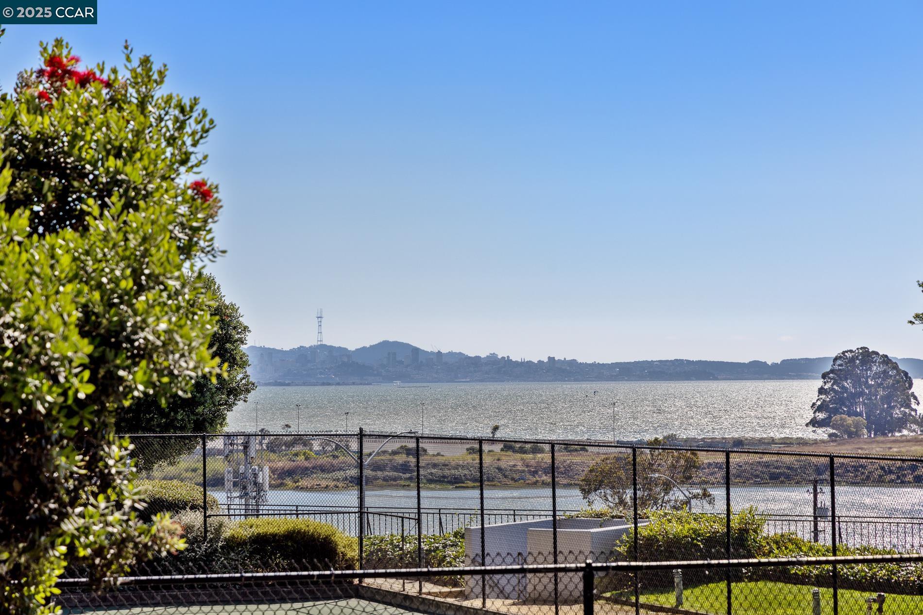 Detail Gallery Image 9 of 33 For 555 Pierce St #209,  Albany,  CA 94706 - 1 Beds | 2 Baths