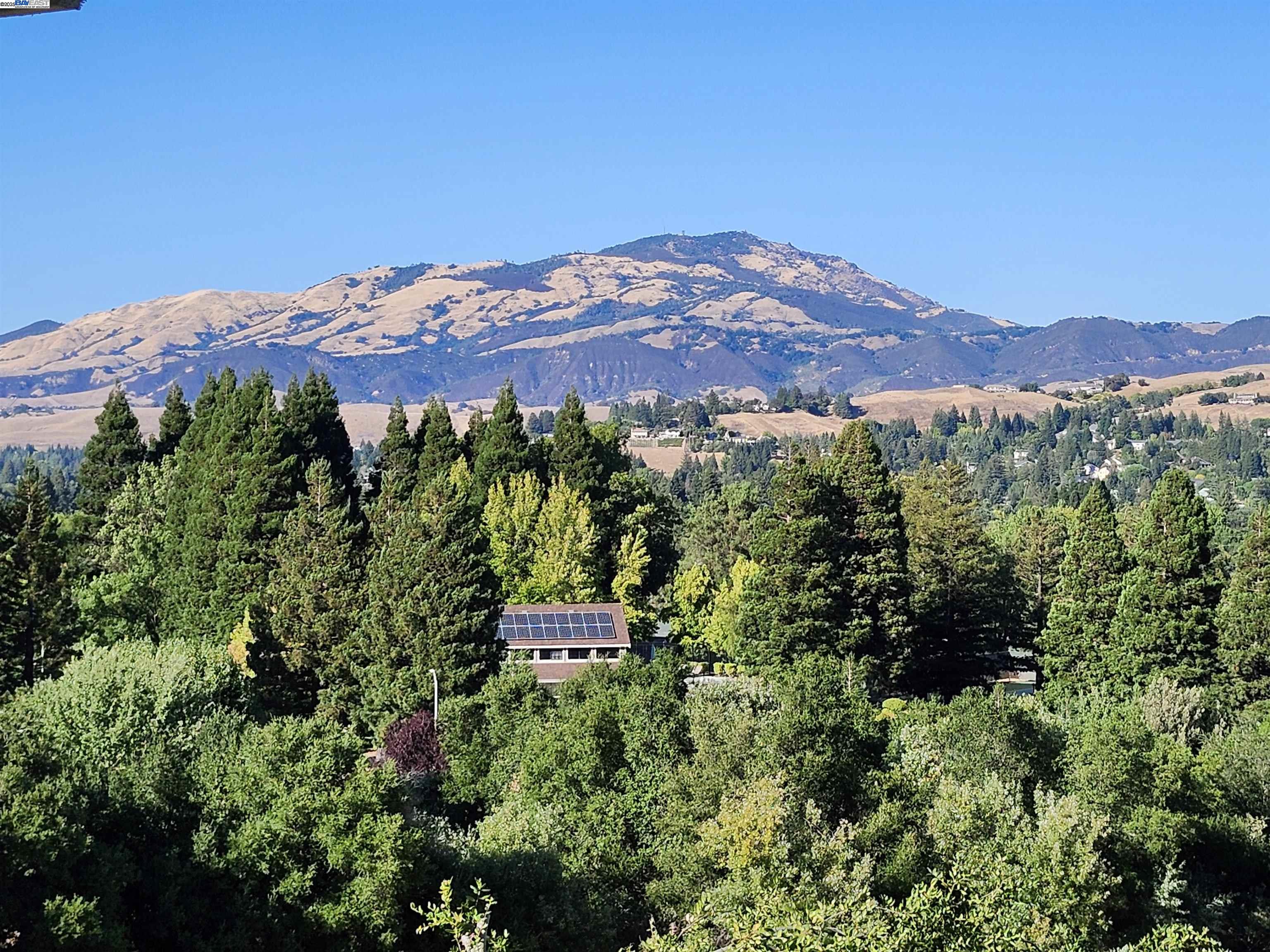 Detail Gallery Image 41 of 60 For 1823 Mockingbird Pl, Danville,  CA 94526 - 5 Beds | 3/1 Baths