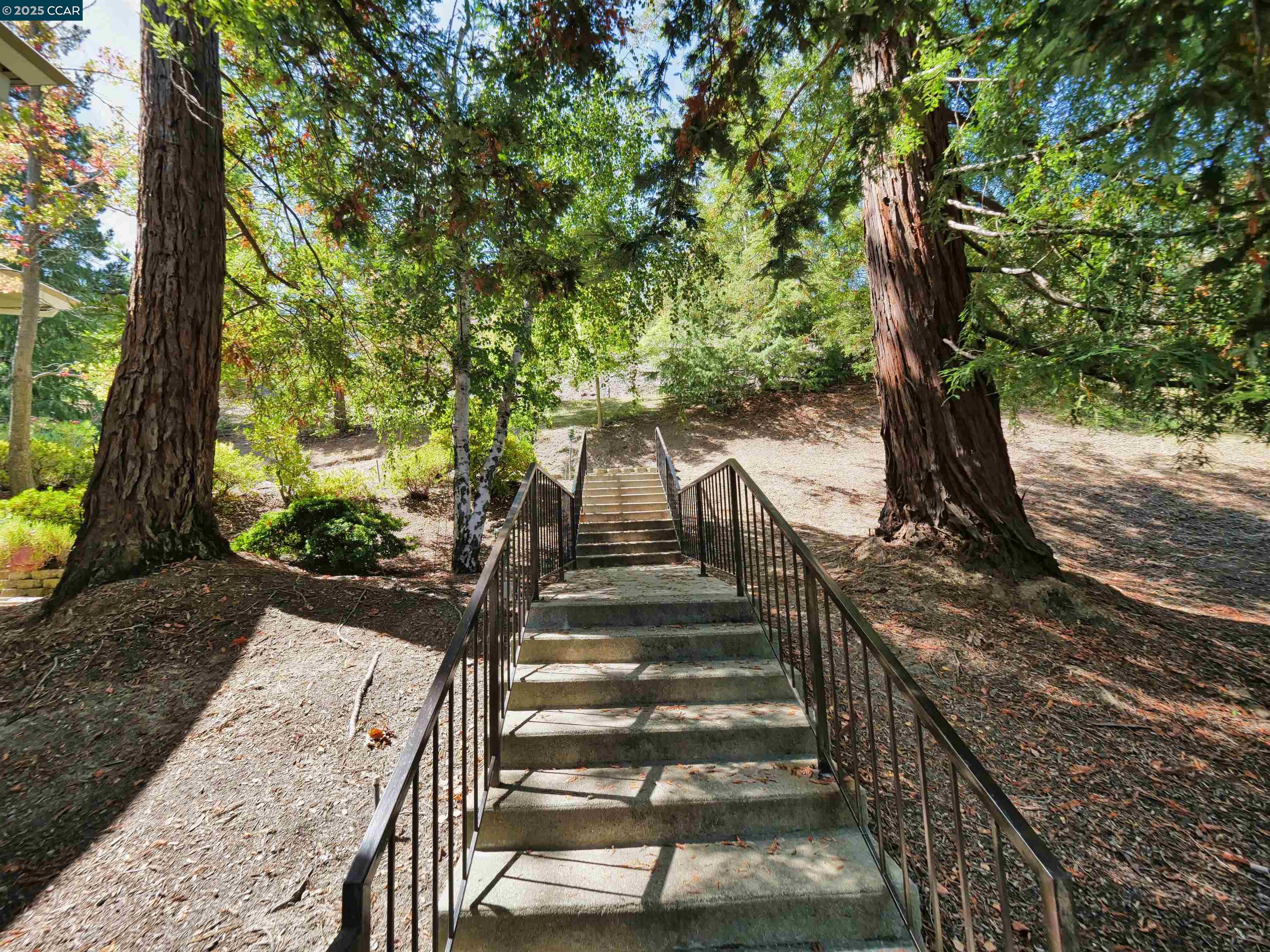 Photo #4: 41109835 Listing 