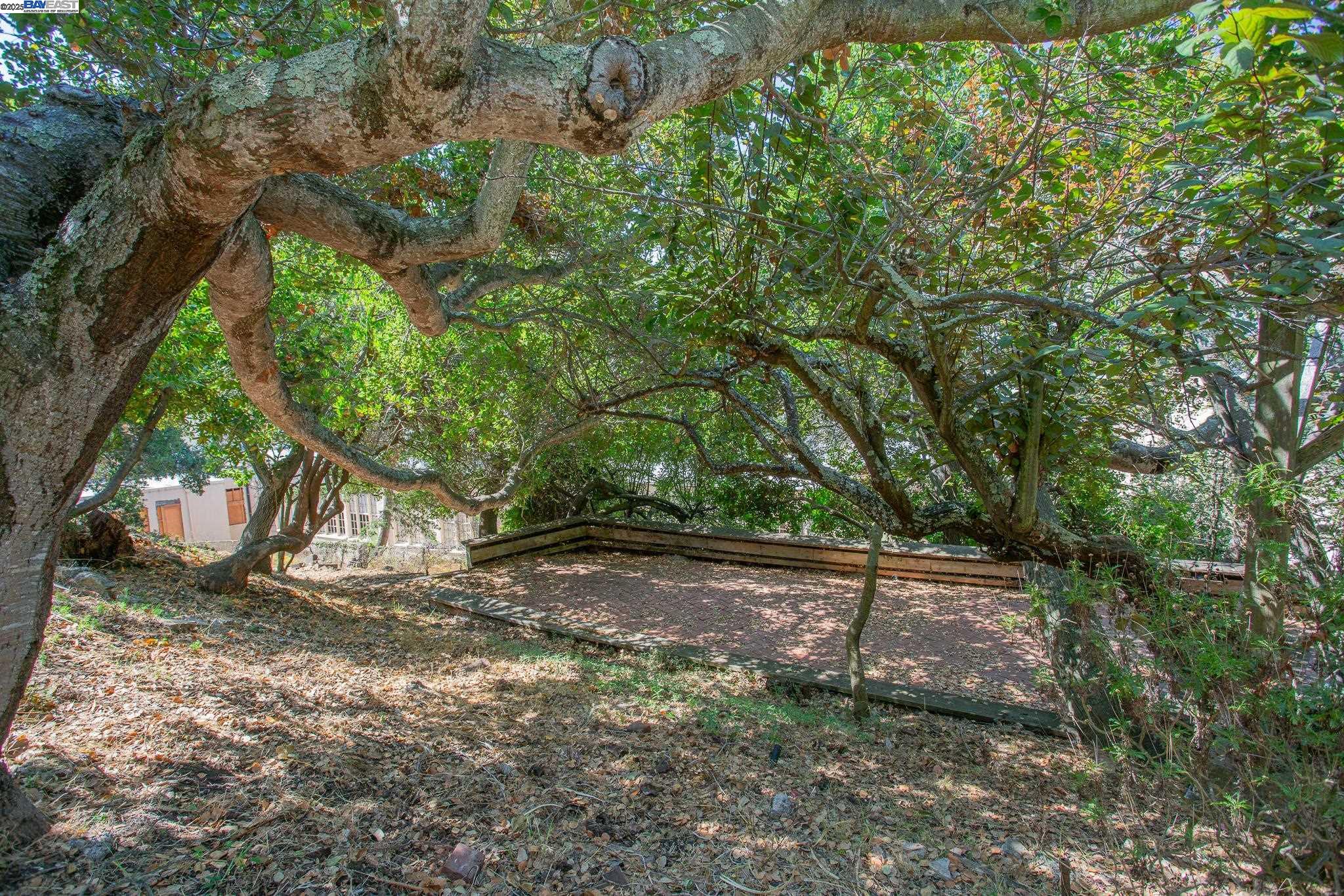 Detail Gallery Image 42 of 44 For 1514 La Loma Ave, Berkeley,  CA 94708 - 4 Beds | 4 Baths