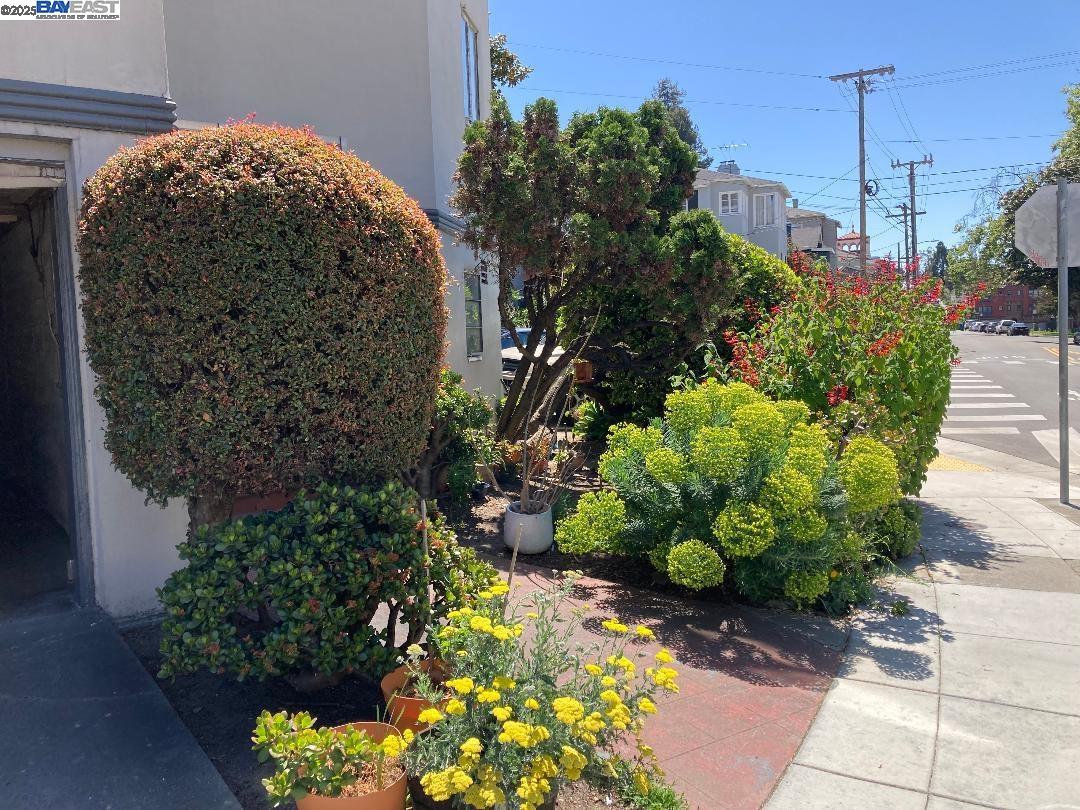 Detail Gallery Image 15 of 17 For 2268 Park Blvd, Oakland,  CA 94606 - – Beds | – Baths