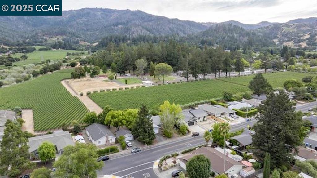 Detail Gallery Image 45 of 56 For 969 Valley View St, Saint Helena,  CA 94574 - 3 Beds | 2 Baths