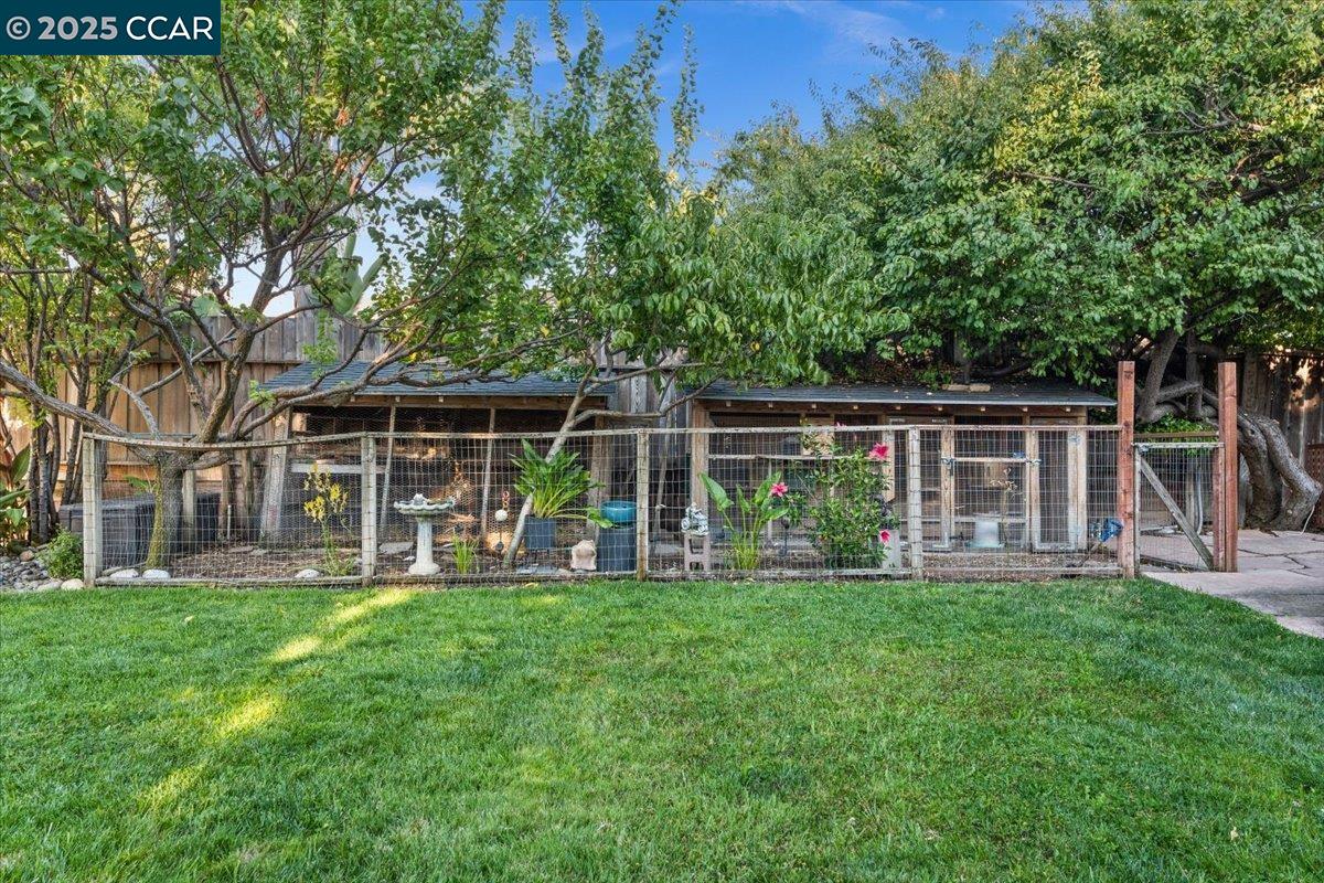 Detail Gallery Image 15 of 60 For 1770 3rd Ave, Walnut Creek,  CA 94597 - 4 Beds | 4 Baths