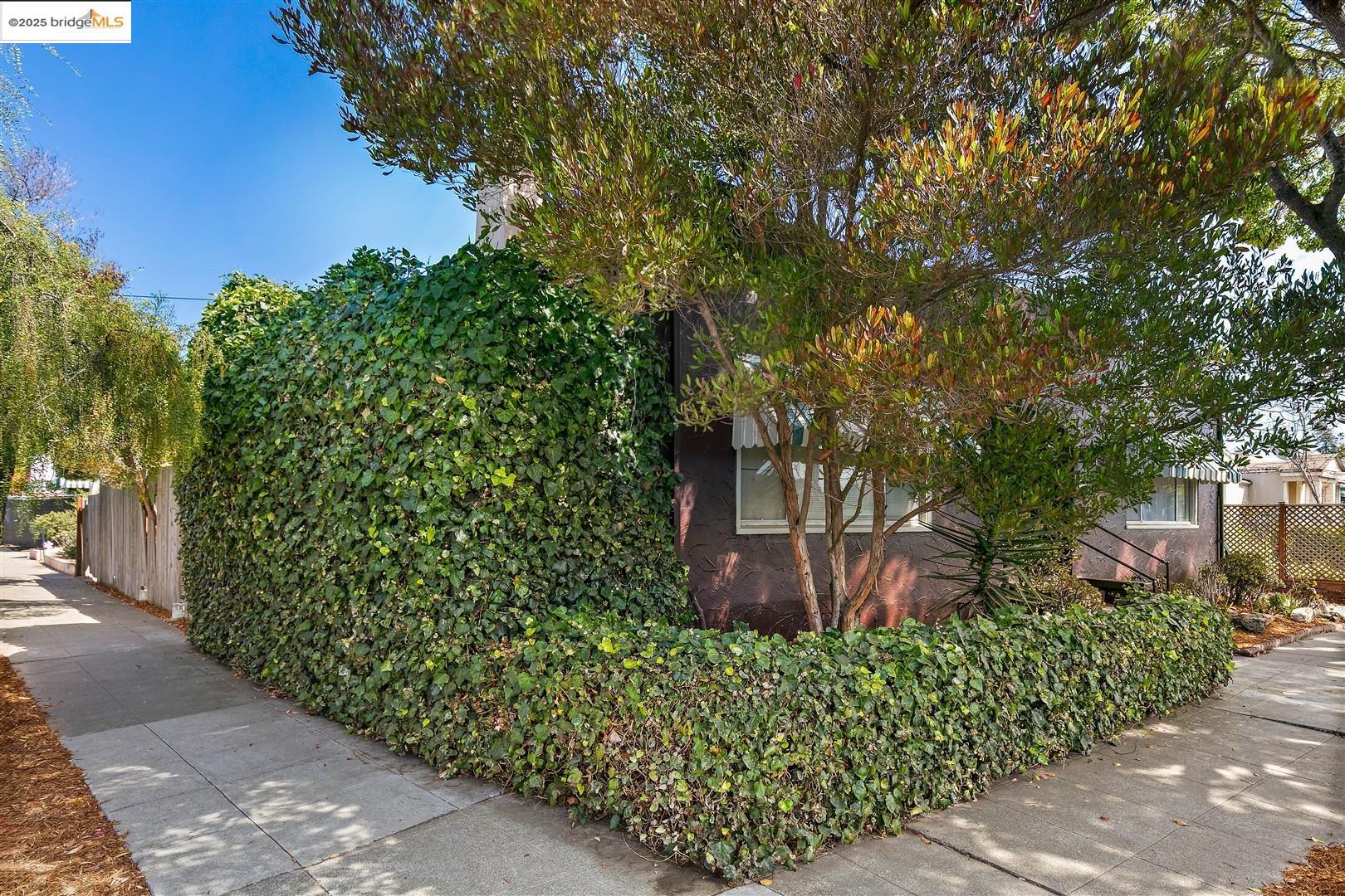 Detail Gallery Image 55 of 56 For 2201-2203 Spaulding Ave, Berkeley,  CA 94703 - – Beds | – Baths