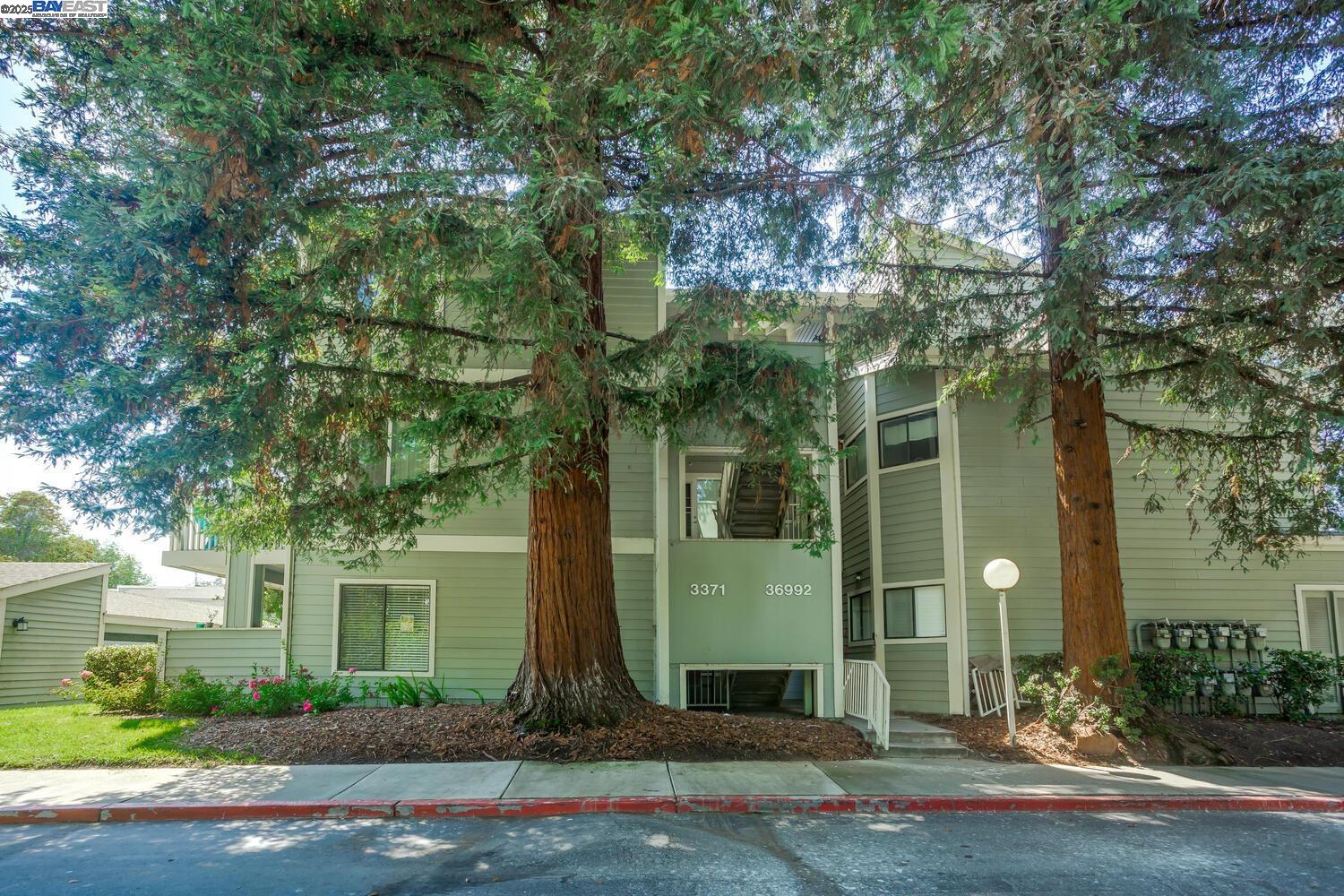 Photo #2: 41110198 Listing 