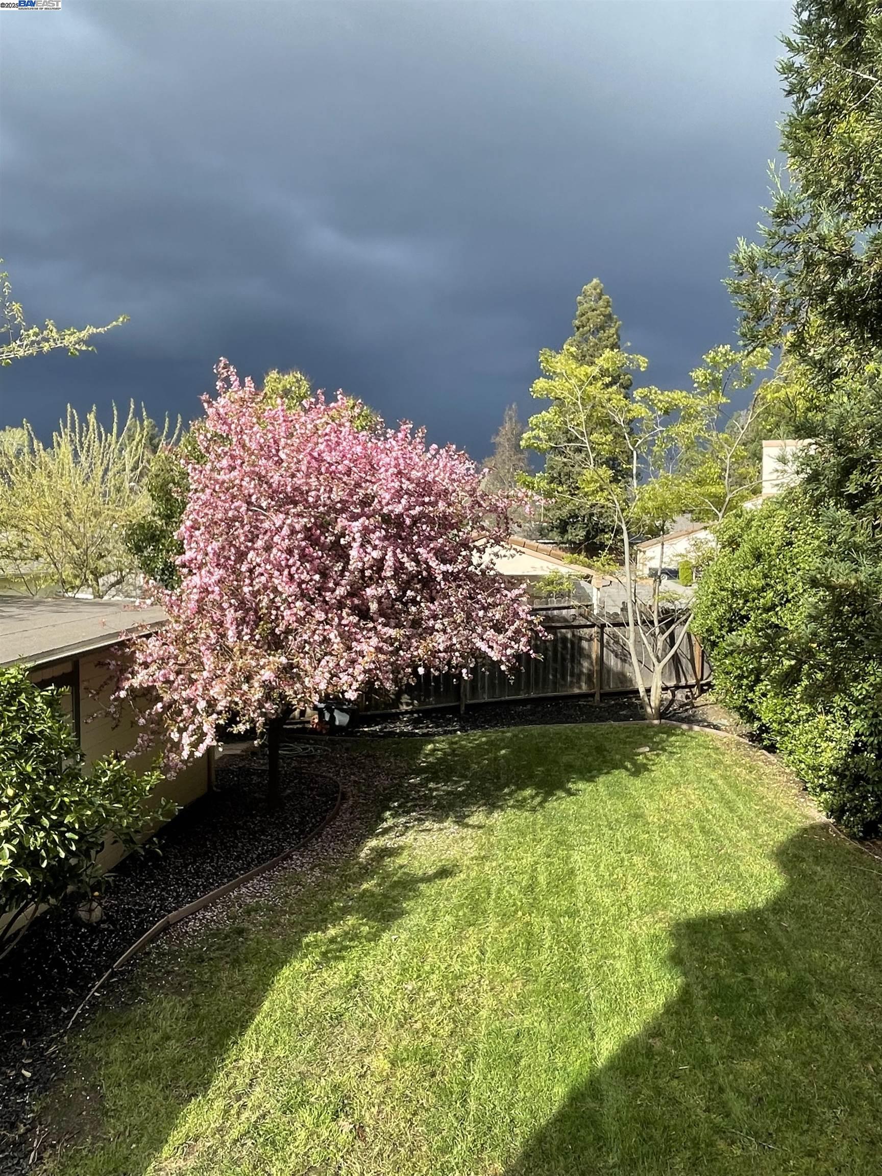 Detail Gallery Image 9 of 56 For 141 Ray St, Pleasanton,  CA 94566 - 4 Beds | 2/1 Baths