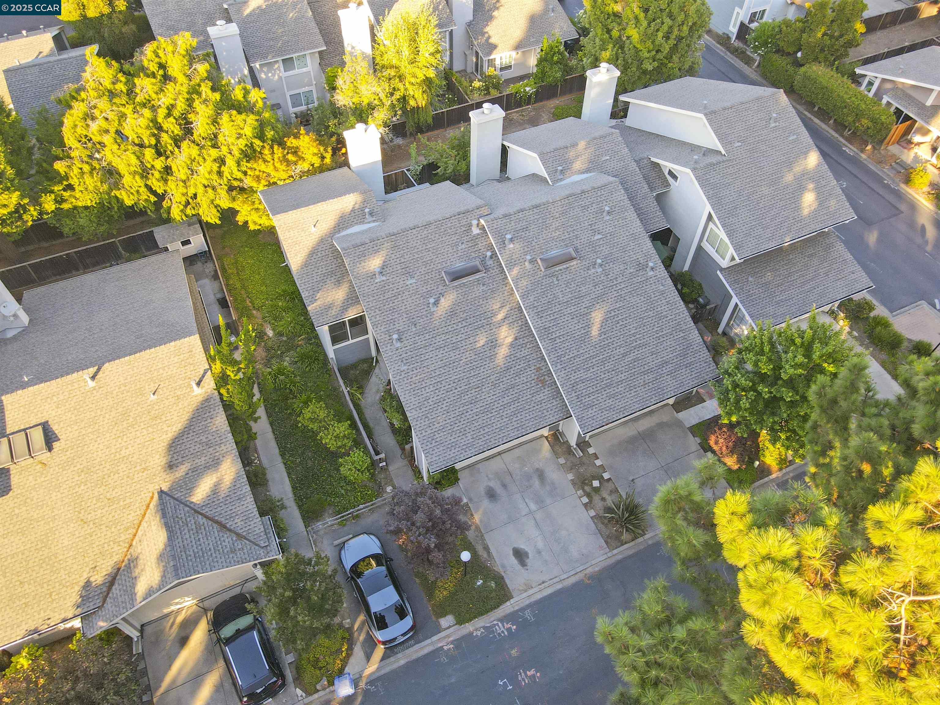 Photo #31: 41110277 Listing: Photo #31