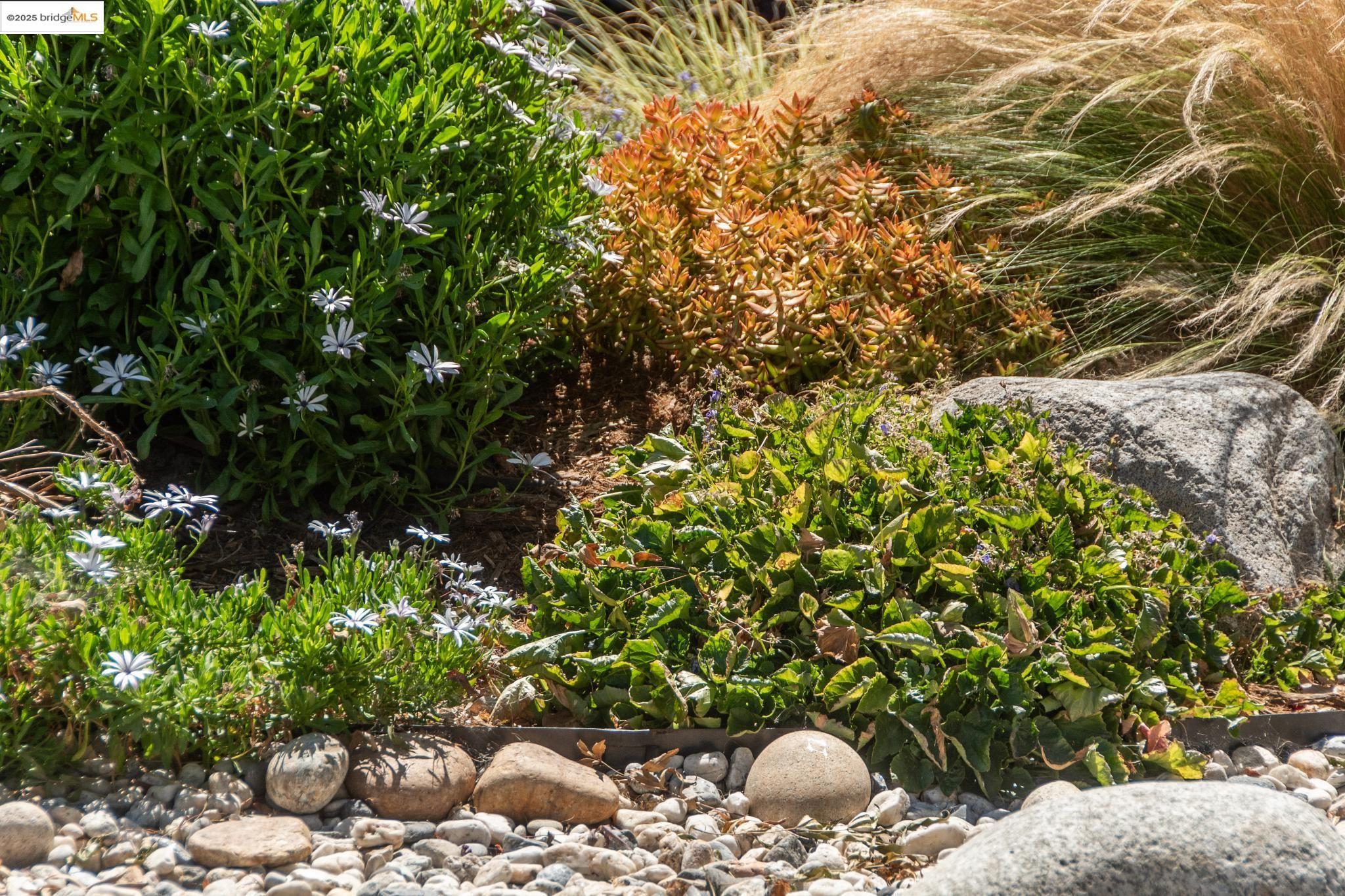 Detail Gallery Image 53 of 54 For 3020 55th Ave, Oakland,  CA 94605 - 3 Beds | 2 Baths