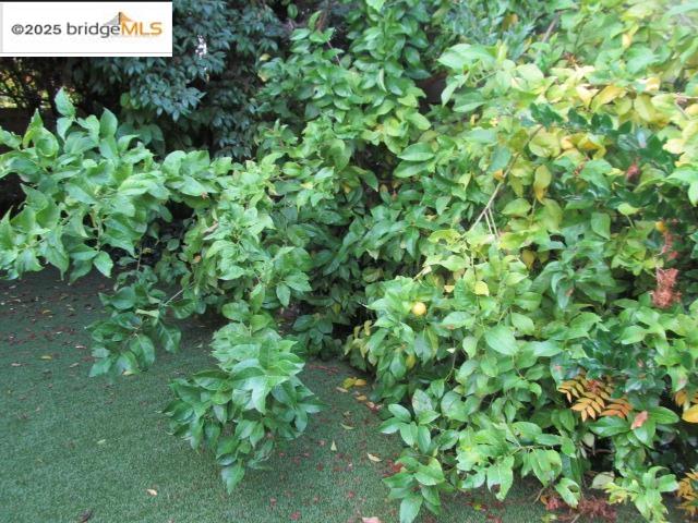 Detail Gallery Image 23 of 29 For 2142 Stony Bar Way, Gold River,  CA 95670 - 3 Beds | 2/1 Baths