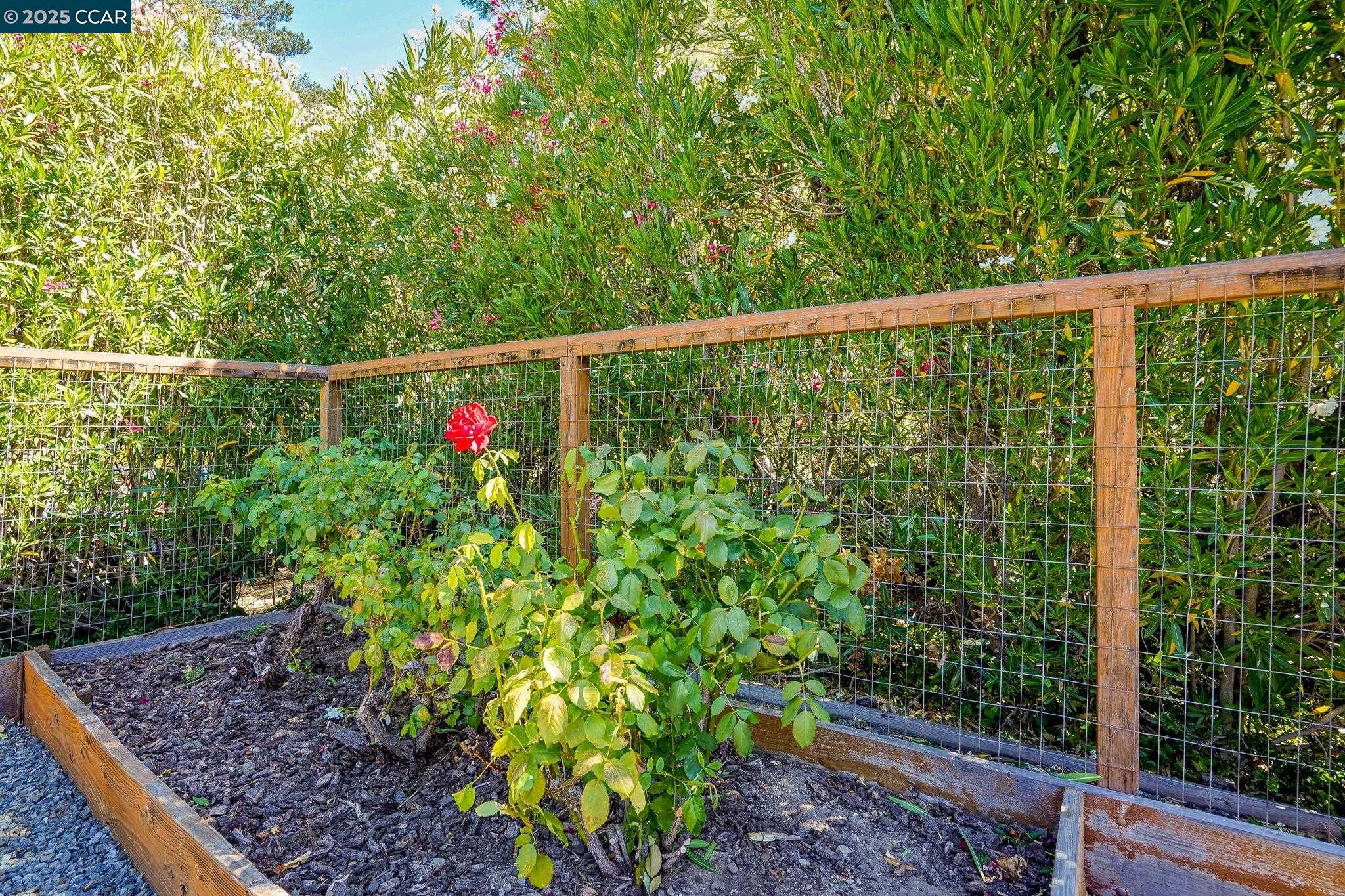 Detail Gallery Image 26 of 33 For 6401 Tri Ln, El Sobrante,  CA 94803 - 3 Beds | 2 Baths