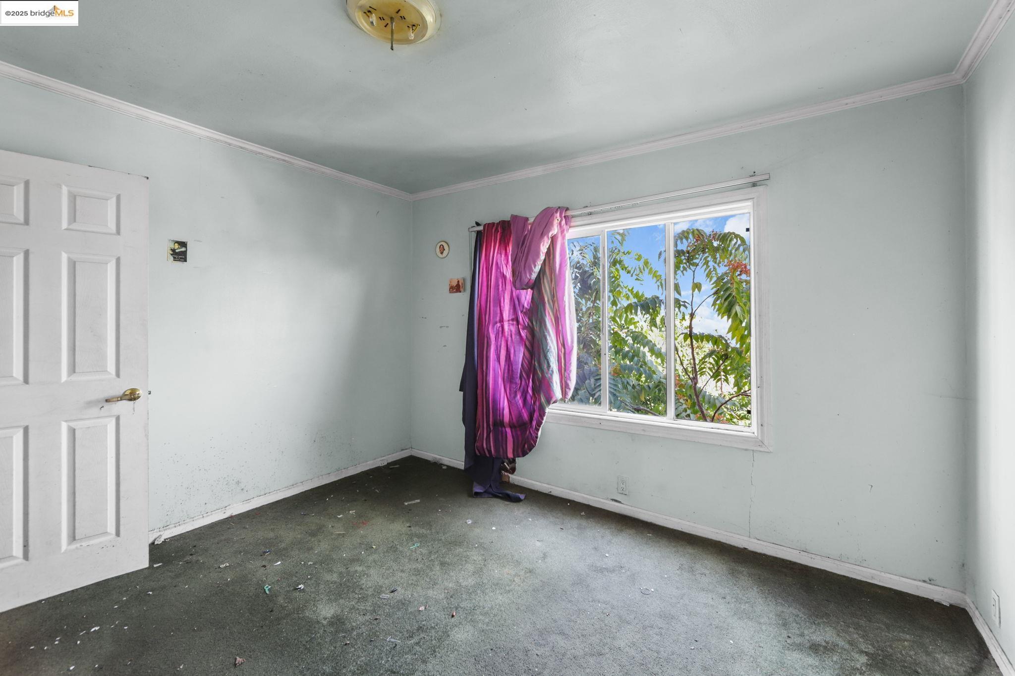 Detail Gallery Image 25 of 47 For 41 Apollo St, San Francisco,  CA 94124 - 3 Beds | 2 Baths