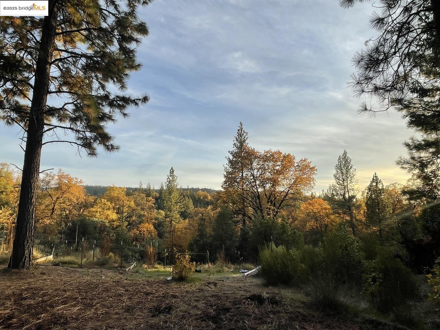 Detail Gallery Image 14 of 21 For 15003 Alleghany Rd, North San Juan,  CA 95960 - 0 Beds | 1 Baths
