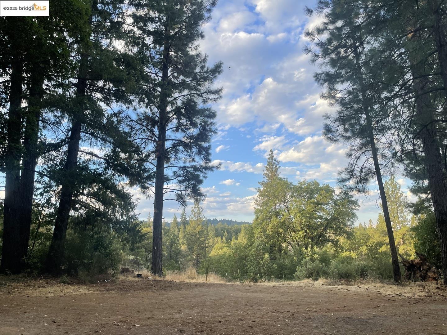 Detail Gallery Image 16 of 21 For 15003 Alleghany Rd, North San Juan,  CA 95960 - 0 Beds | 1 Baths