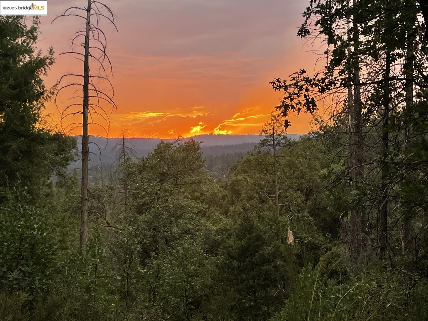 Detail Gallery Image 17 of 21 For 15003 Alleghany Rd, North San Juan,  CA 95960 - 0 Beds | 1 Baths