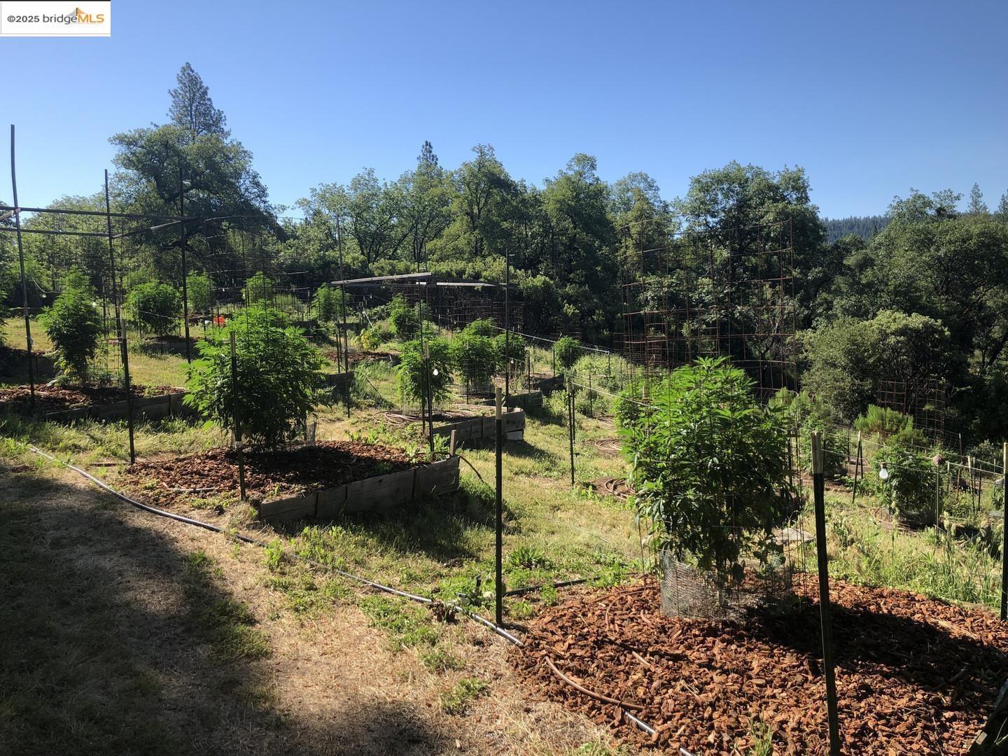 Detail Gallery Image 22 of 34 For 15003 Alleghany Rd, North San Juan,  CA 95960 - 0 Beds | 1 Baths