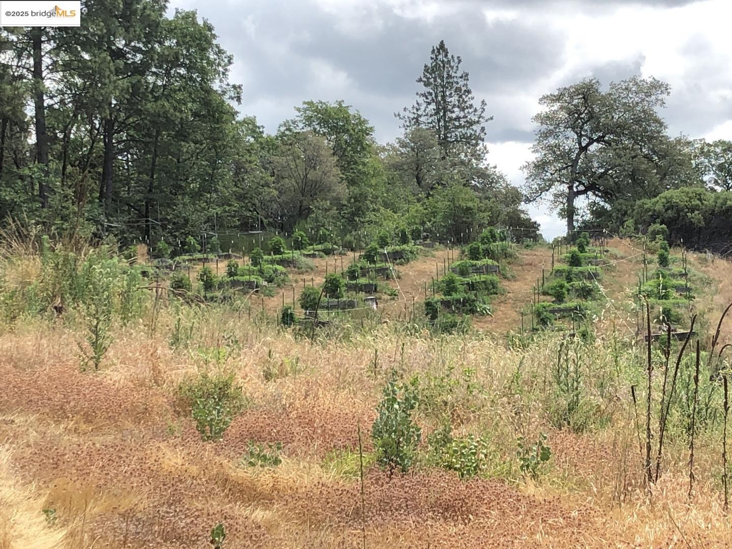 Detail Gallery Image 10 of 21 For 15003 Alleghany Rd, North San Juan,  CA 95960 - 0 Beds | 1 Baths