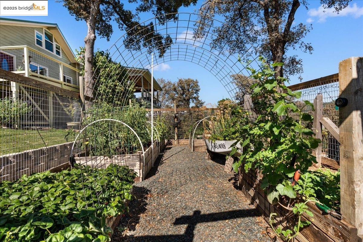 Detail Gallery Image 51 of 60 For 11020 Homestead Ln, Penn Valley,  CA 95946 - 3 Beds | 2 Baths
