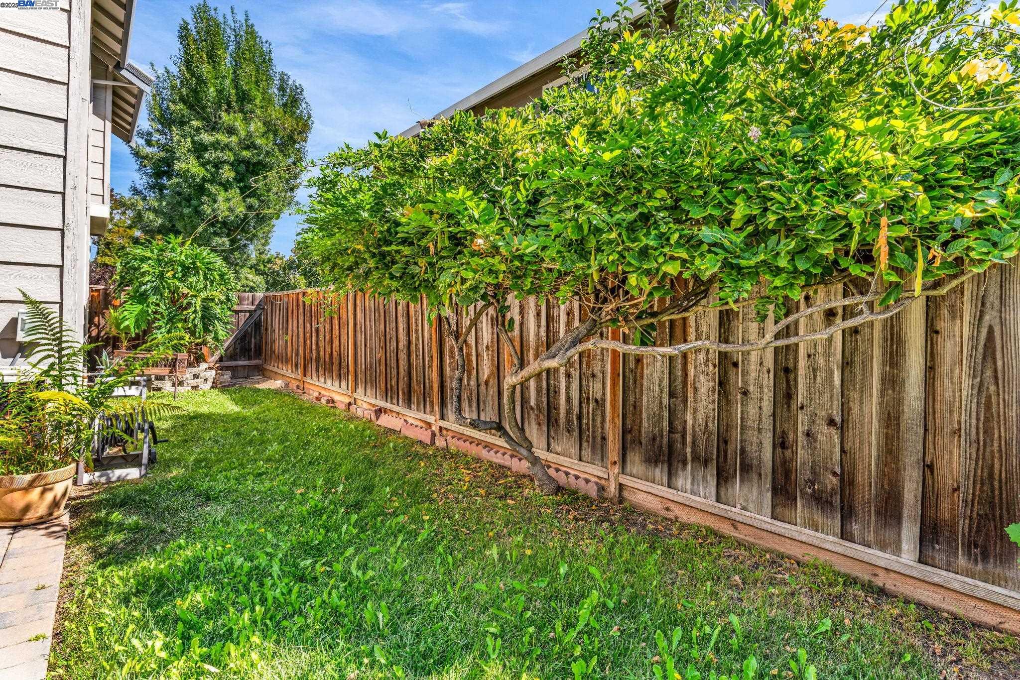 Detail Gallery Image 43 of 43 For 5473 Rainflower Dr, Livermore,  CA 94551 - 3 Beds | 2/1 Baths